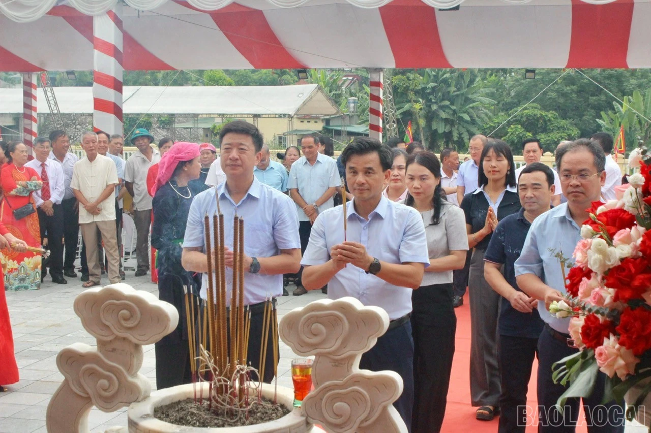 baolaocai-br_z7981118124906-11187de7b7c7b33bb2518273ce37bb22.jpg