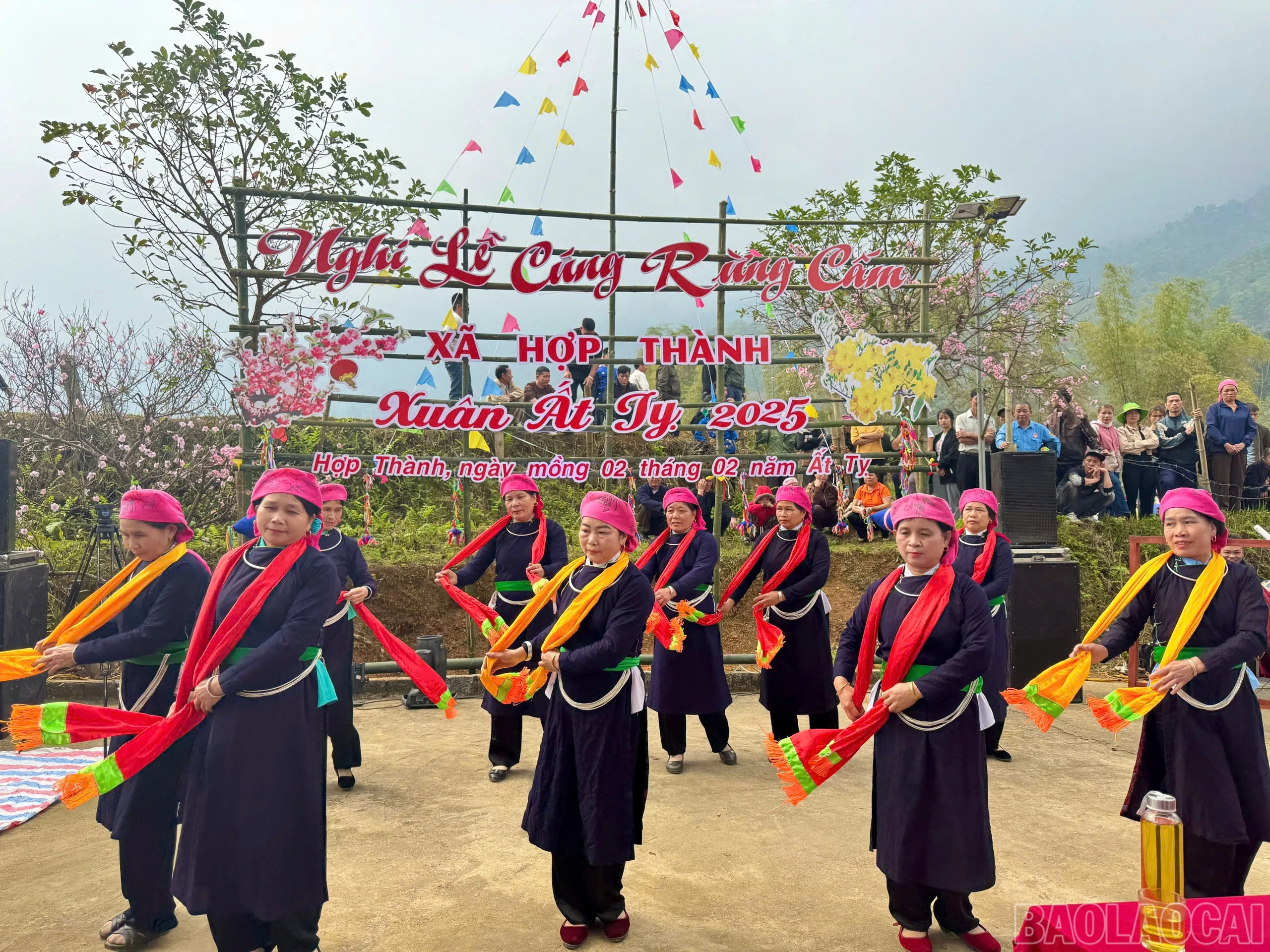 baolaocai-br_z6363628516266-44486ea924d01ce5755f573489f0d13e.jpg
