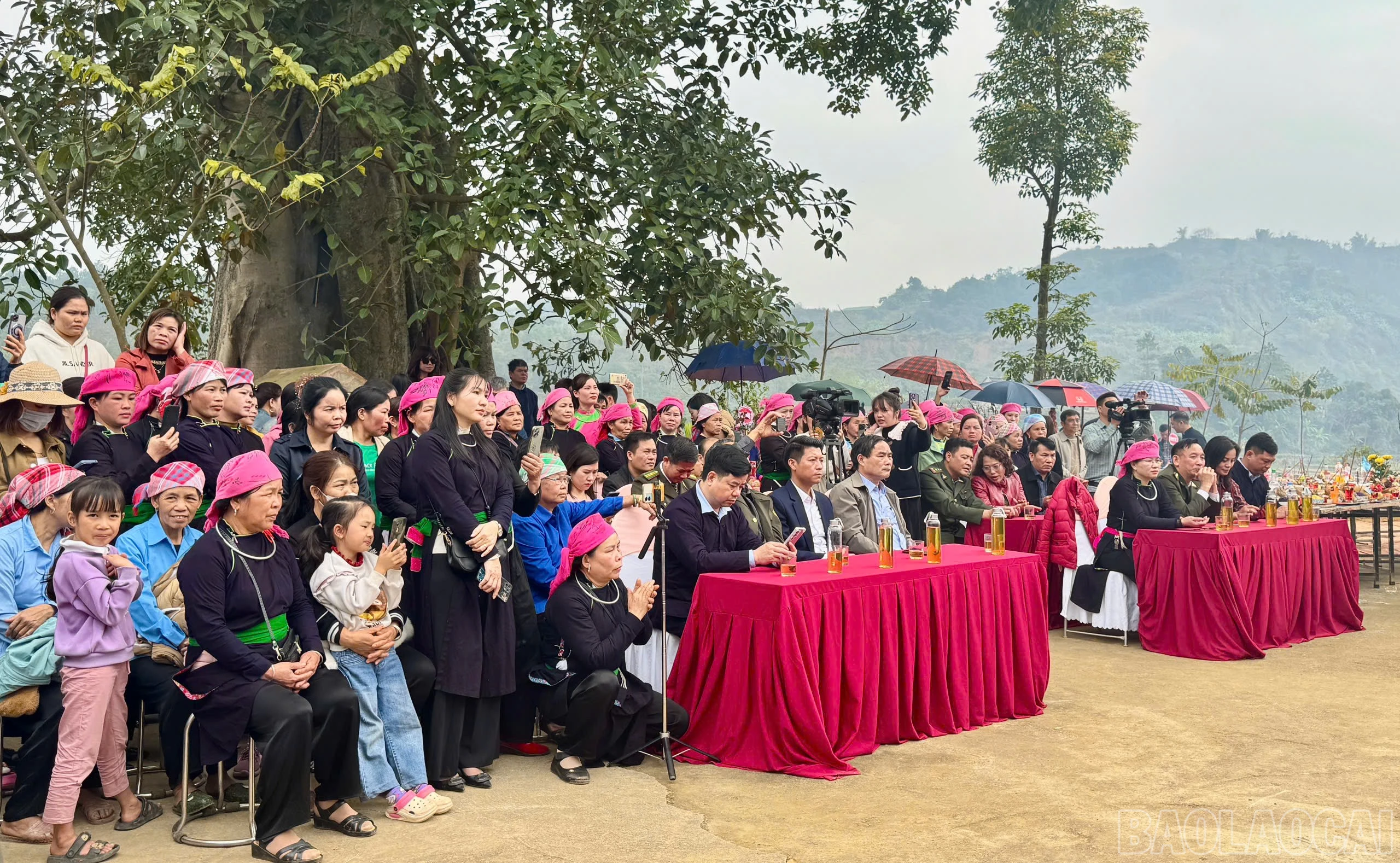 baolaocai-br_z6363628507344-5b58b0fb1c6f16c838fc19bcde0dfa36.jpg