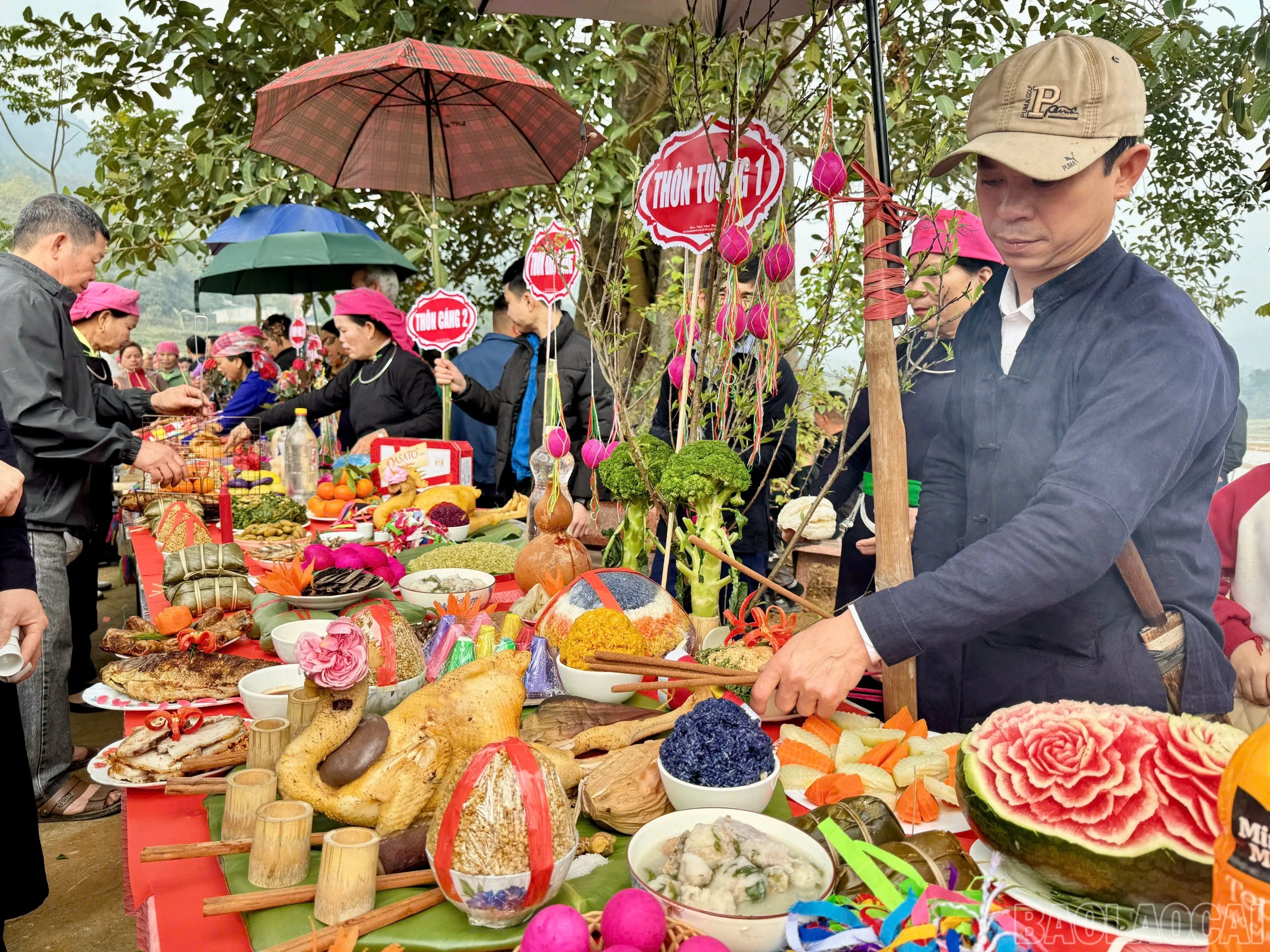 baolaocai-br_z6363628465432-c848370cd2b81fa52d8b0c4632401def.jpg