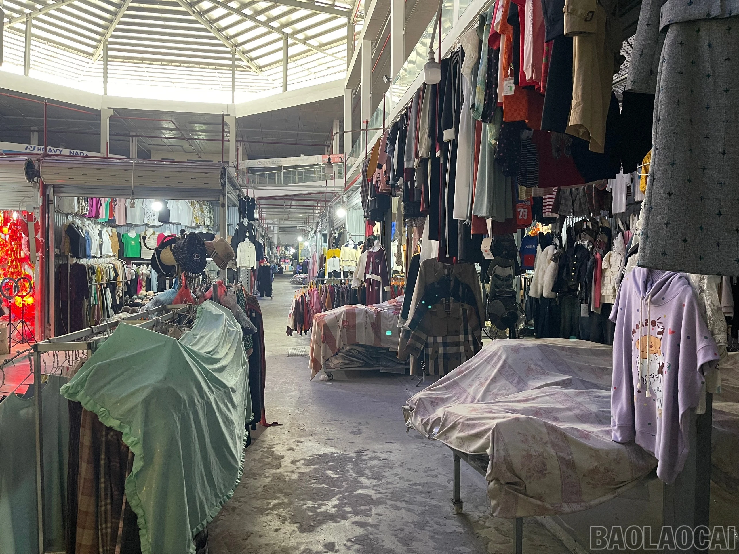 baolaocai-br_z6261658571224-a9425c6084c85853c16dde4a8123ff8e.jpg