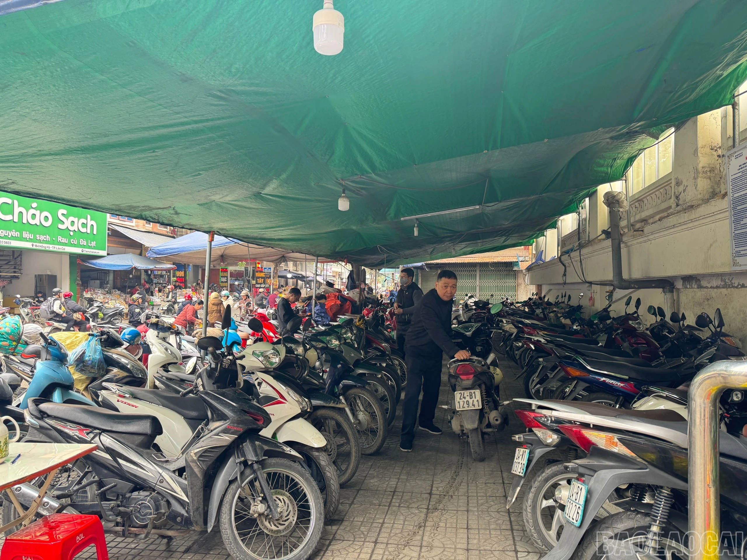 baolaocai-br_z6259207802628-1204cc26185f792273934753159cf07b.jpg