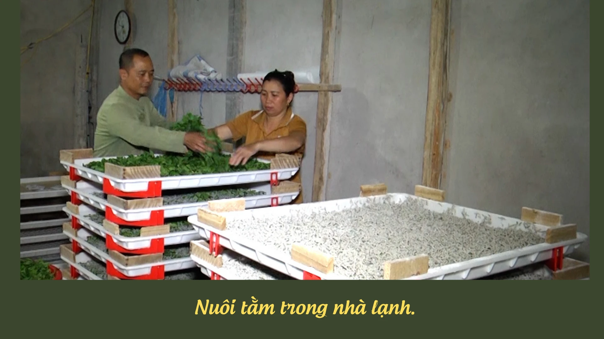 huong-toi-gia-tri-ben-vung-6.png