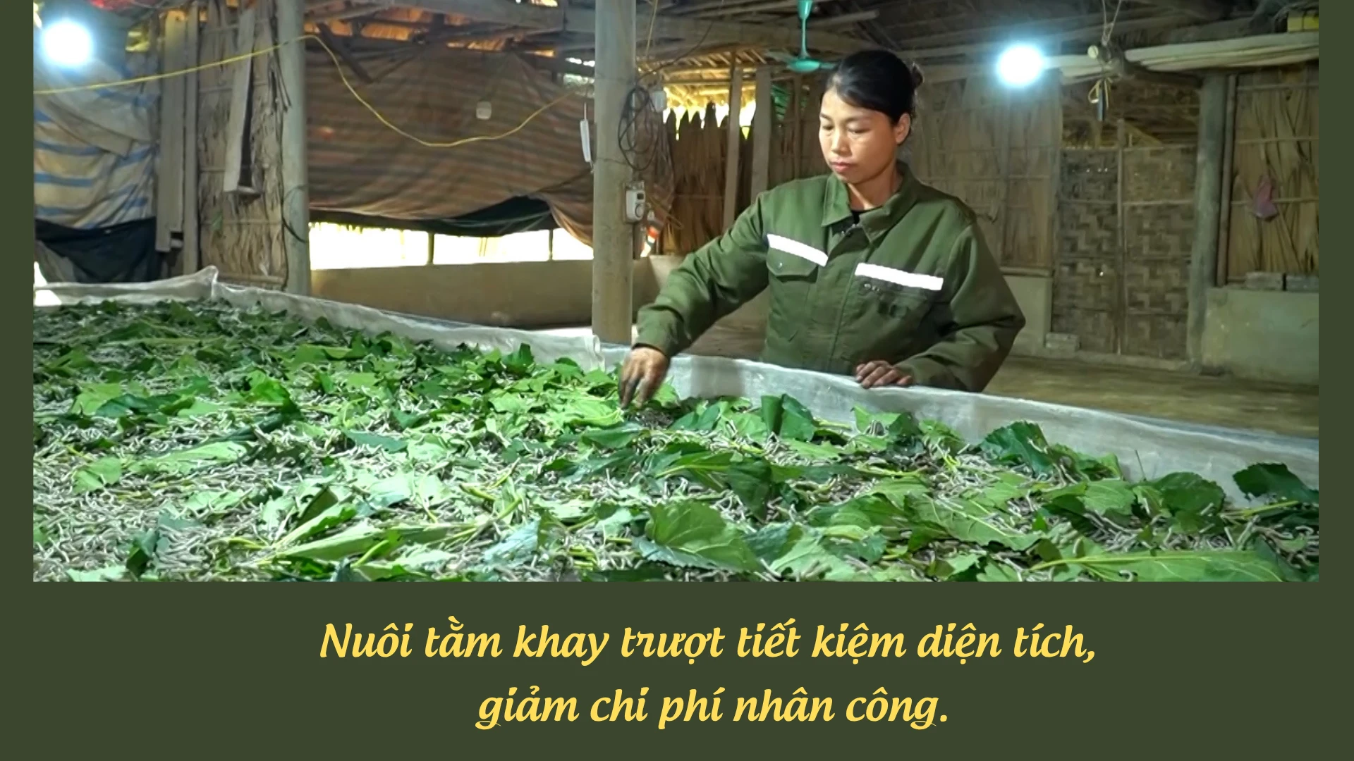 huong-toi-gia-tri-ben-vung-4.png