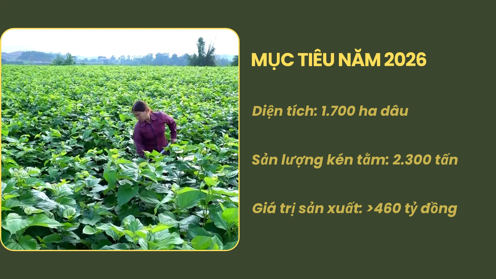 huong-toi-gia-tri-ben-vung-7.png