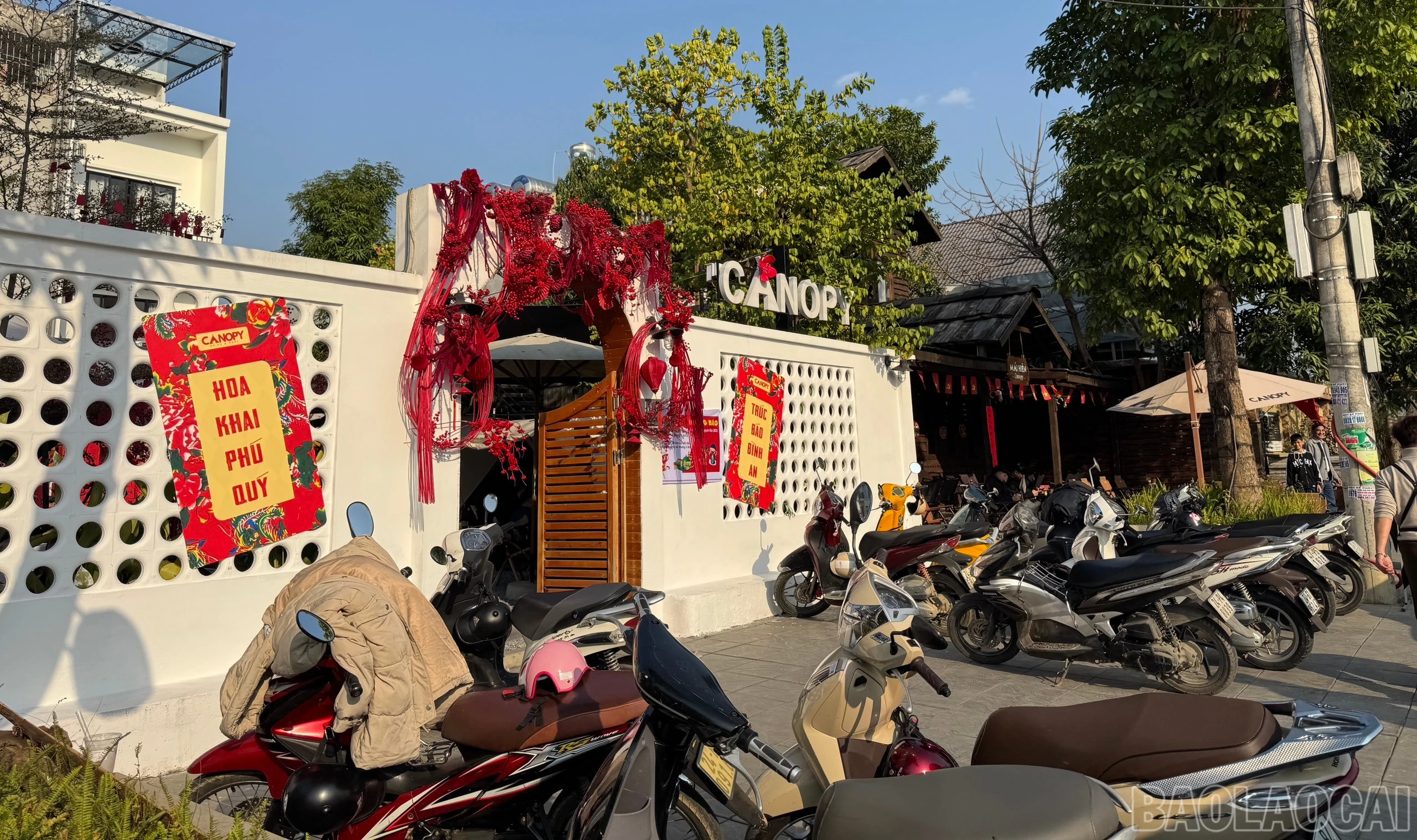 baolaocai-br_z6274982261689-03b9ed613b94fac3b6295ff2a364f457.jpg