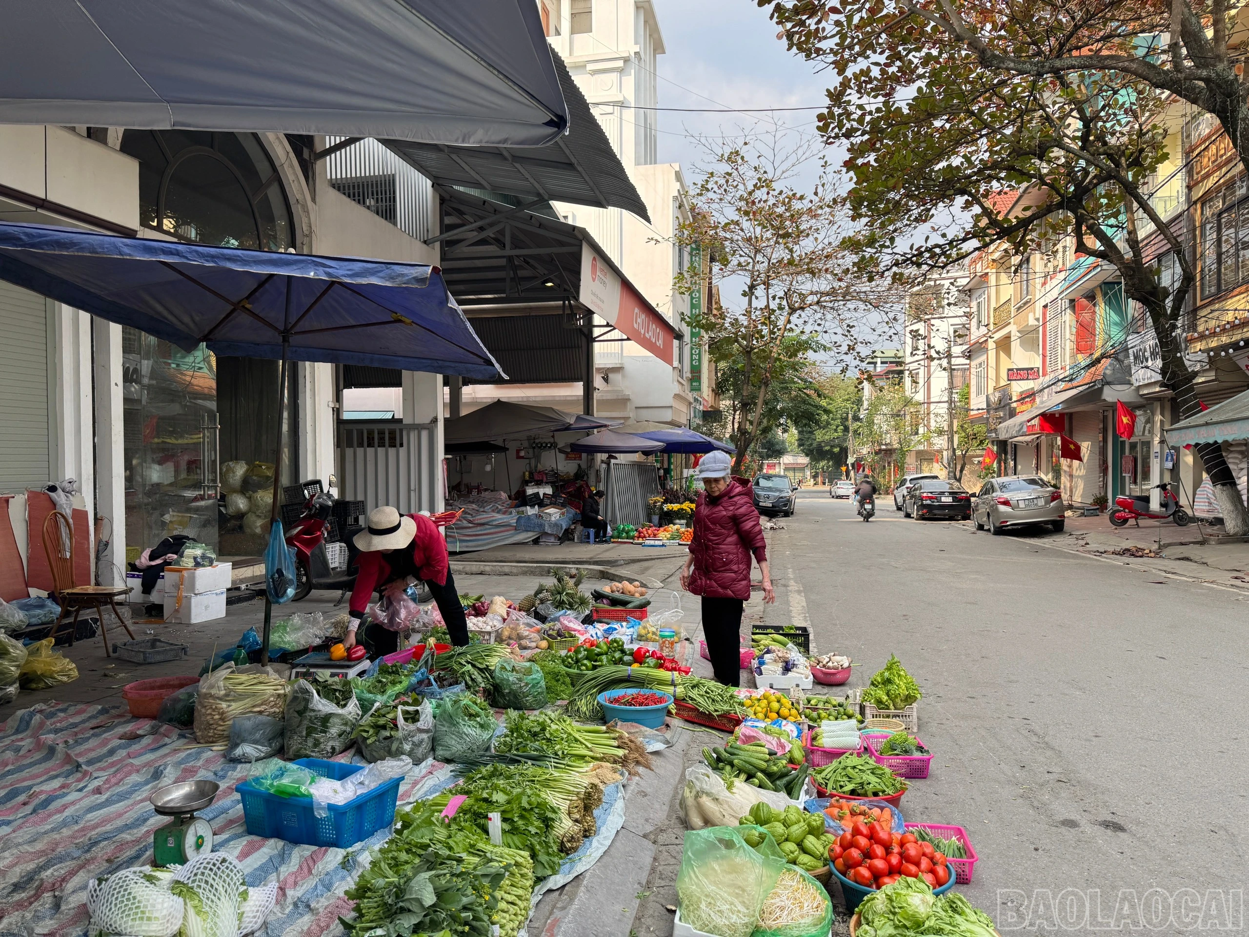 baolaocai-br_z6274982693604-29ab1c5e539252cd4c1b914a6a62965c.jpg