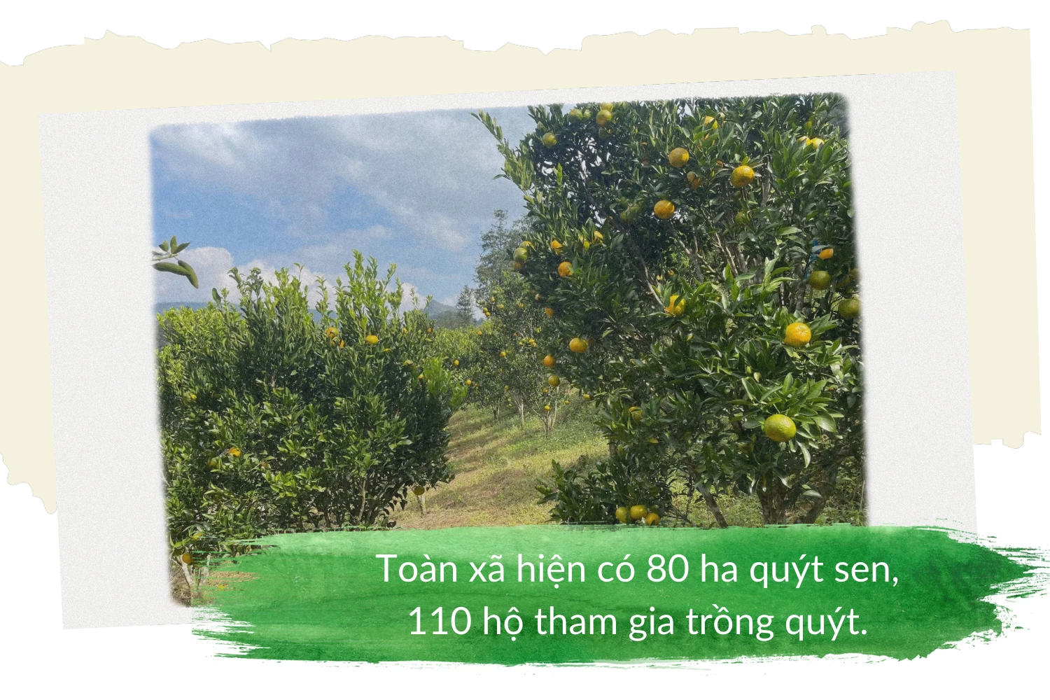 img-0121.png