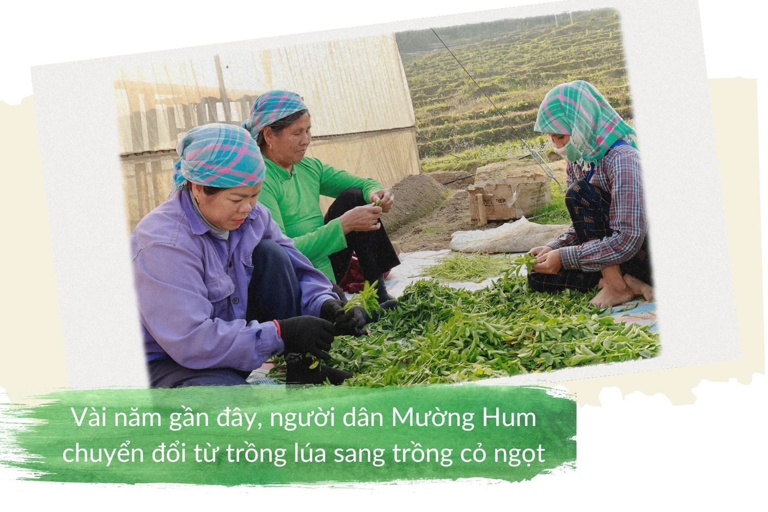 Tiêu đề.png