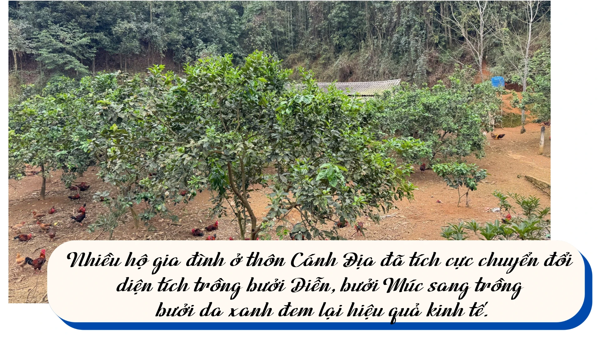 ban-sao-cua-noi-dung-doan-van-ban-cua-ban.png