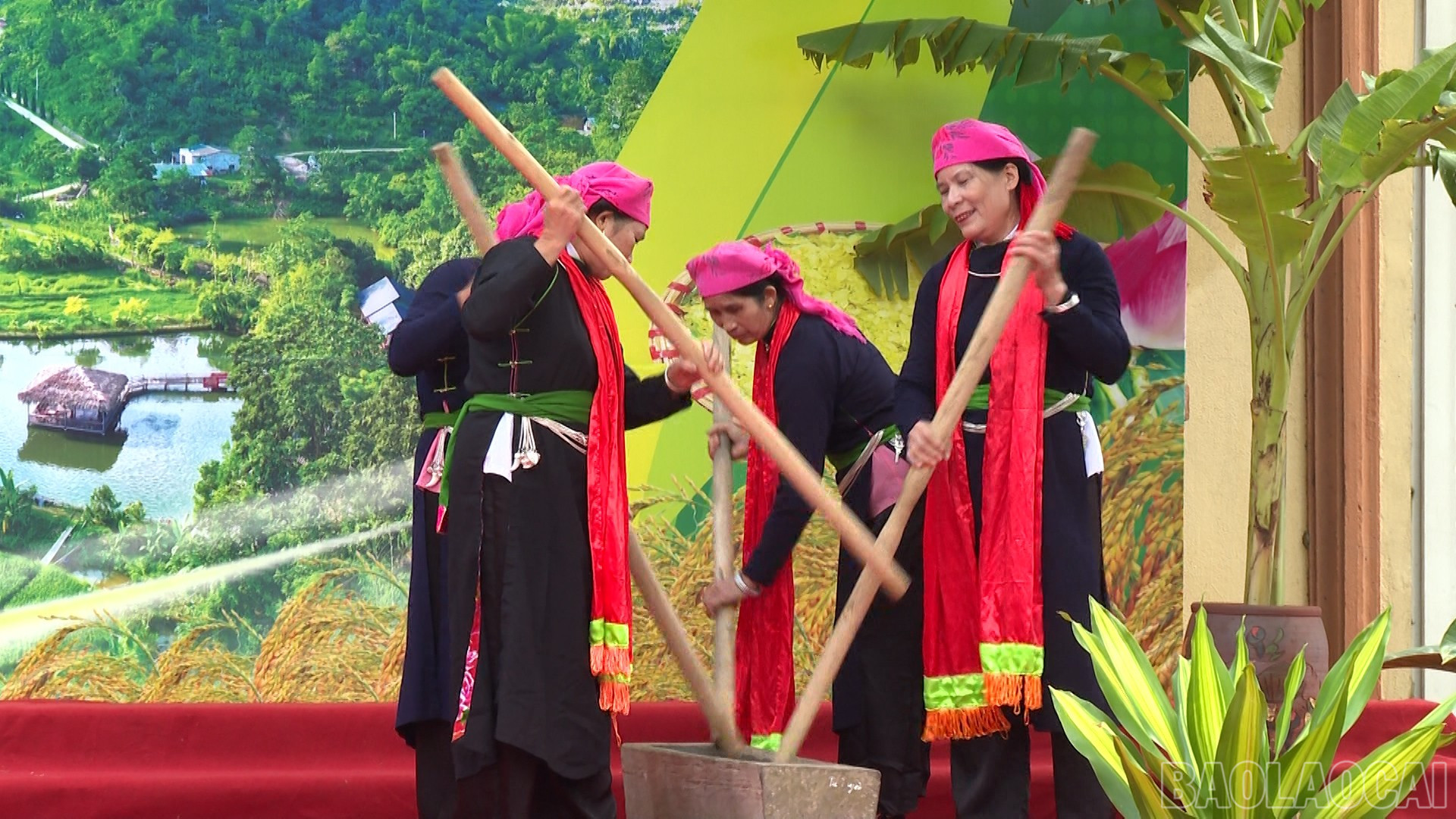 Mở đầu lễ hội với nghi lễ cúng cơm mới, dâng lễ vật lên thần linh, tổ tiên. baolaocai-br_title-0100-00-12-20still399.jpg