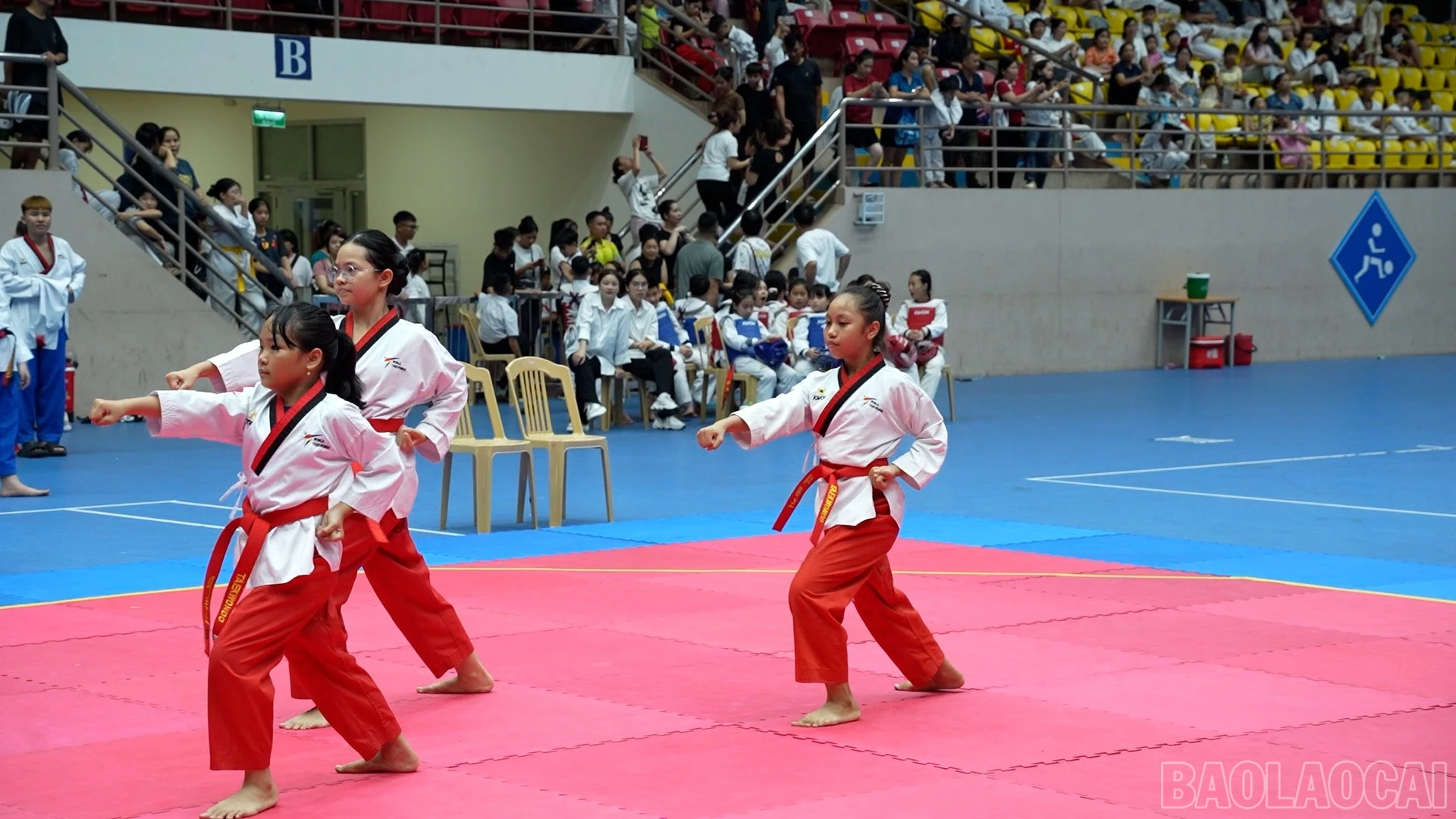 baolaocai-br_451-078100-09-44-01still565.jpg