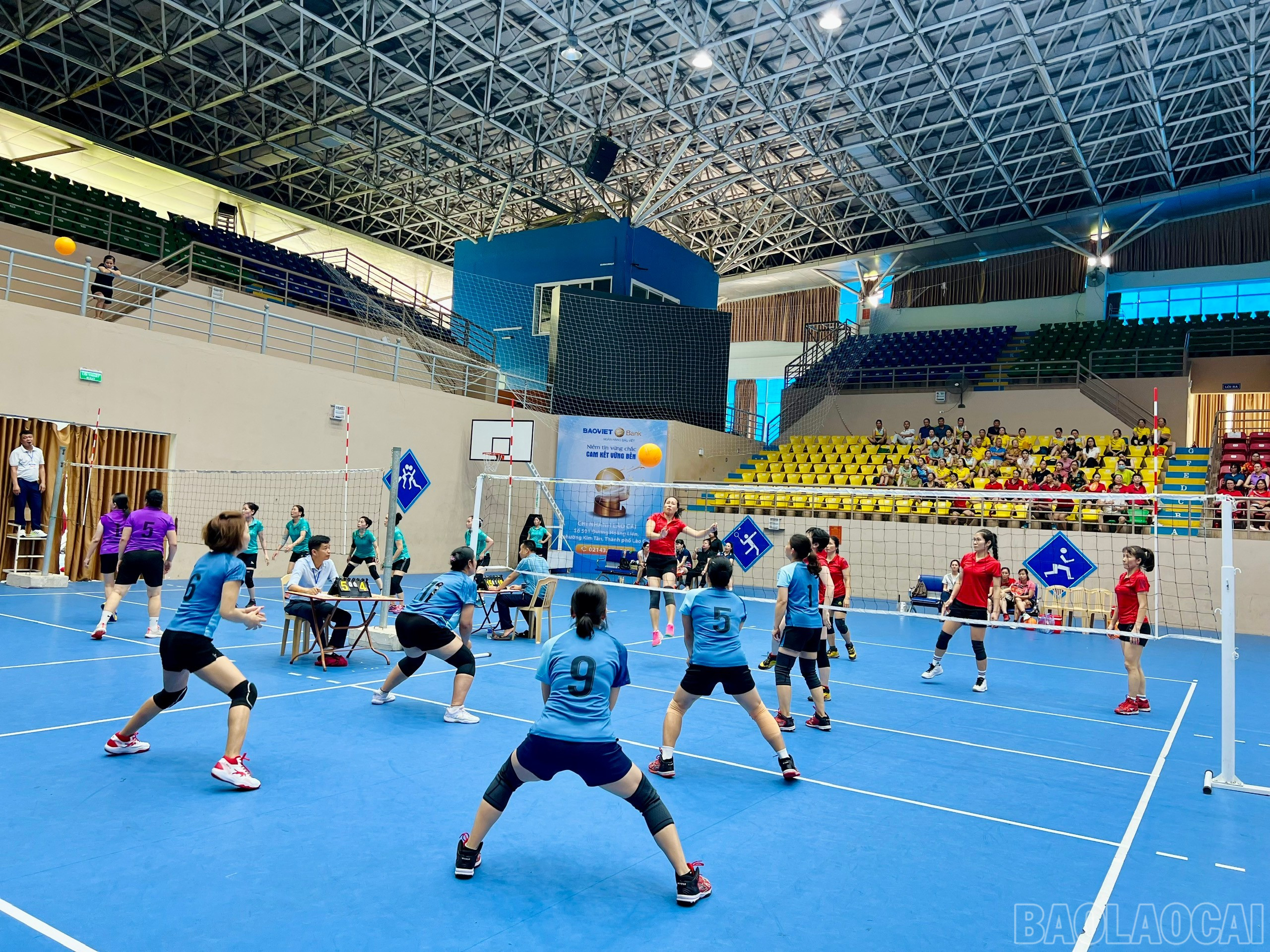 baolaocai-br_z6613120040052-7521ced75242994dee90202c3a17cdb6.jpg