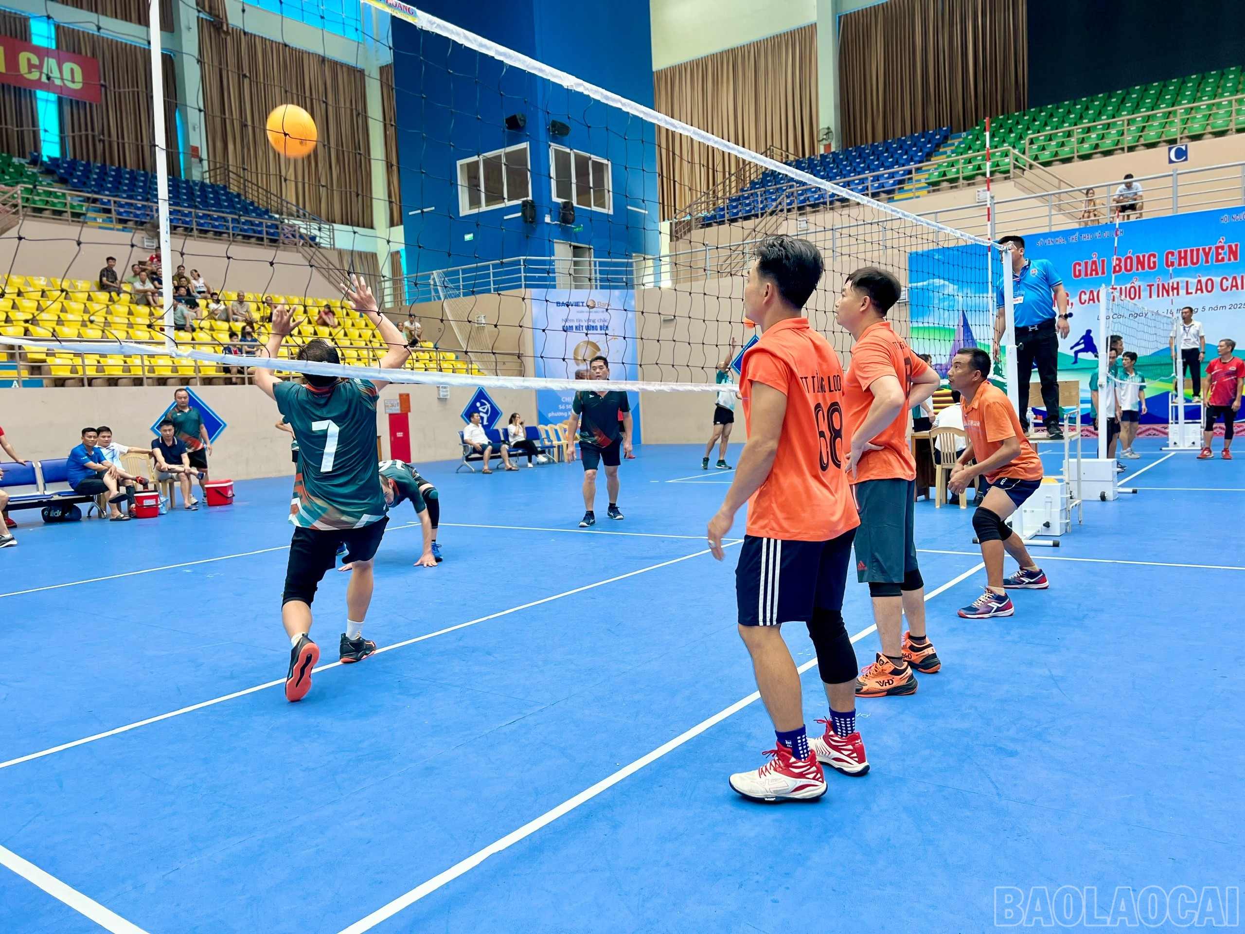 baolaocai-br_z6613120241178-ac507c53bb60d6c42af2a292b9cf64a2.jpg