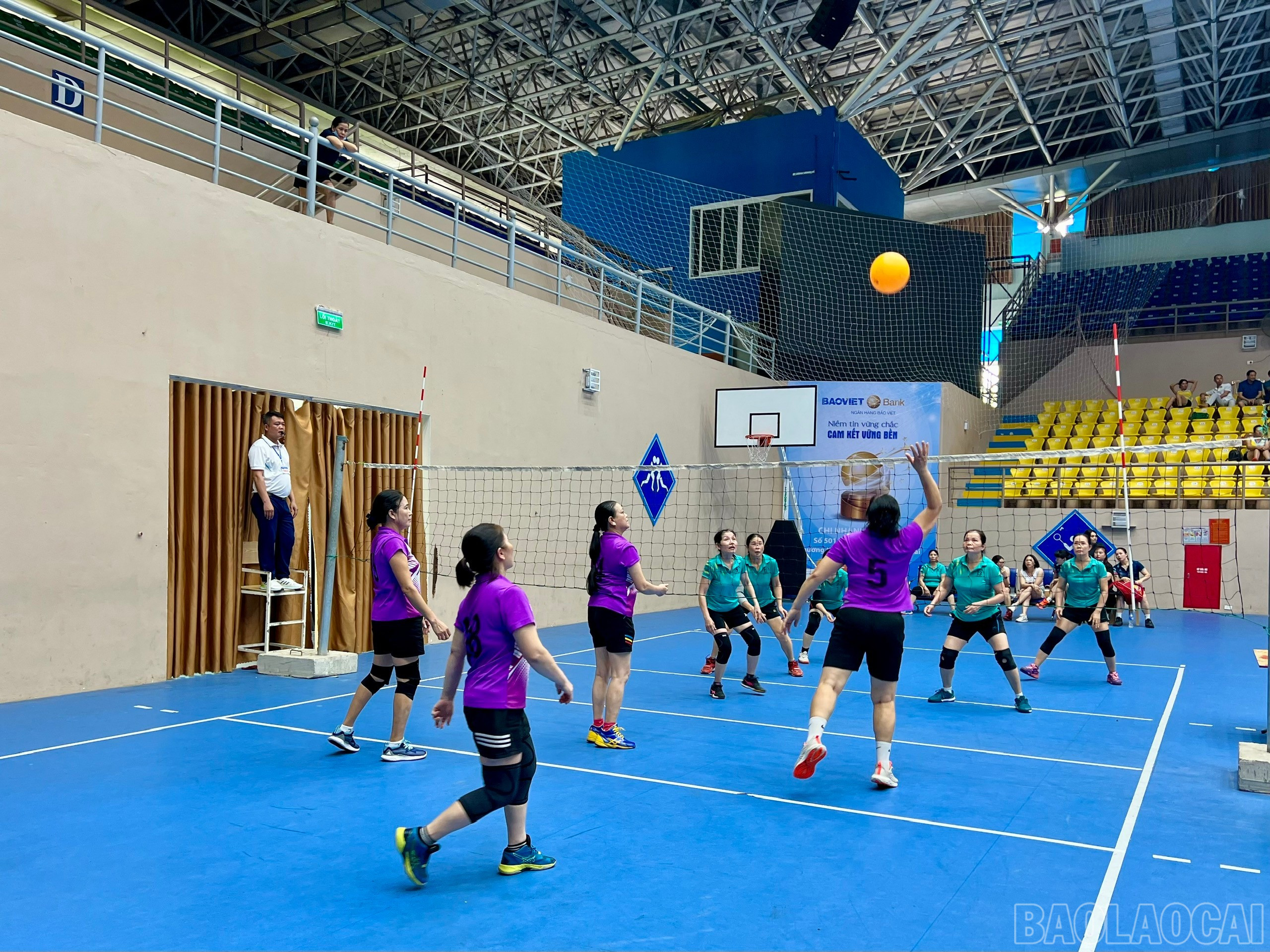 baolaocai-br_z6613119721257-2d5e952982d7768d1d594a9b72f4d728.jpg