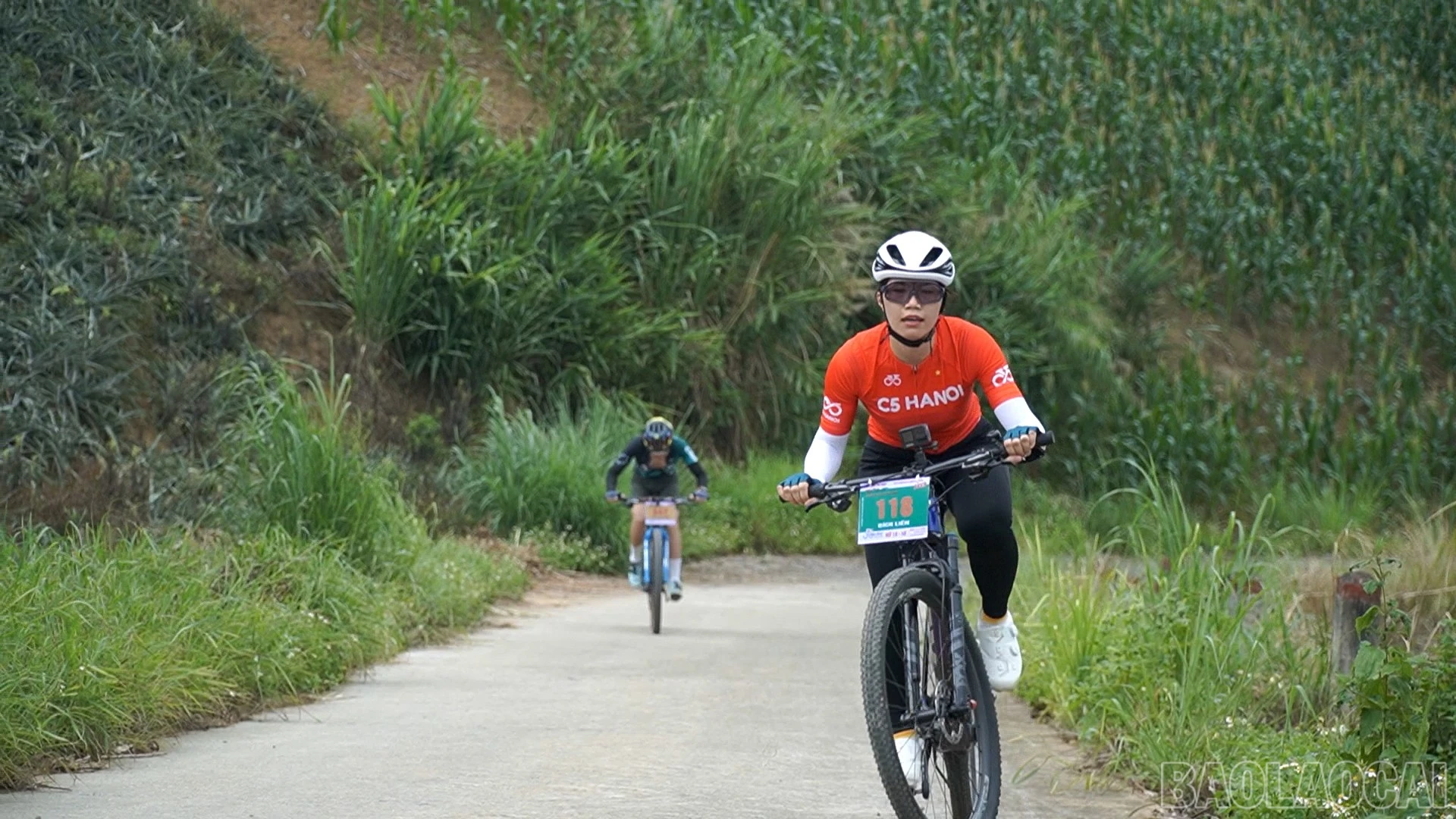 baolaocai-br_451-078100-17-14-14still258.jpg