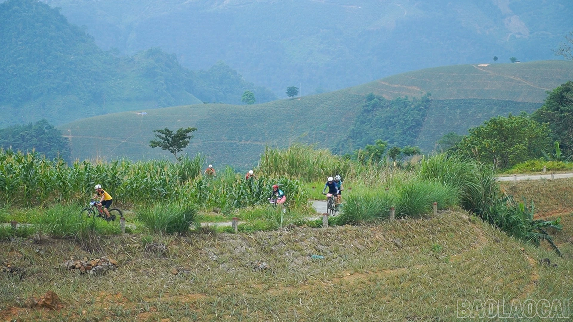baolaocai-br_451-078100-13-10-23still238.jpg