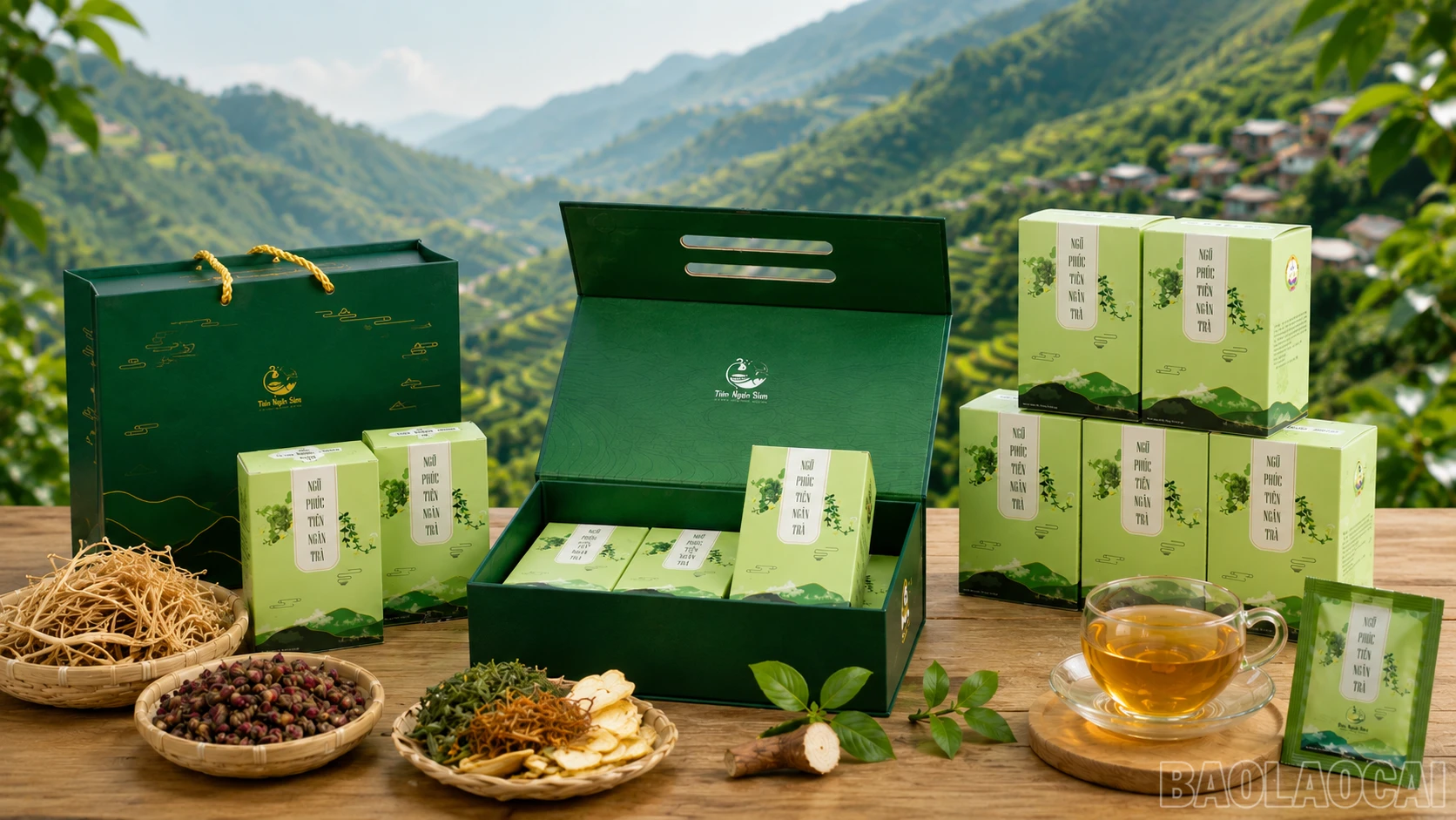 baolaocai-br_chatgpt-image-09-40-12-7-thg-5-2026.png