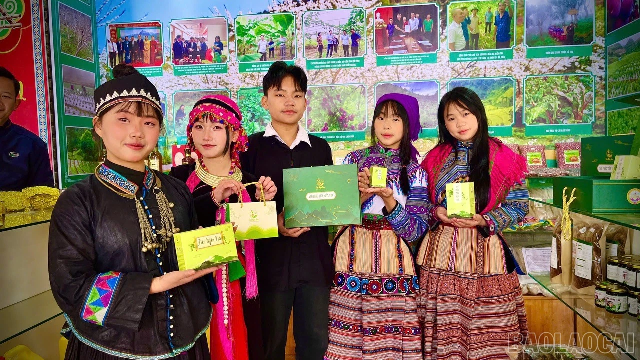 baolaocai-br_z7786796818453-4ba6692358de2cd795a9d01875583576.jpg