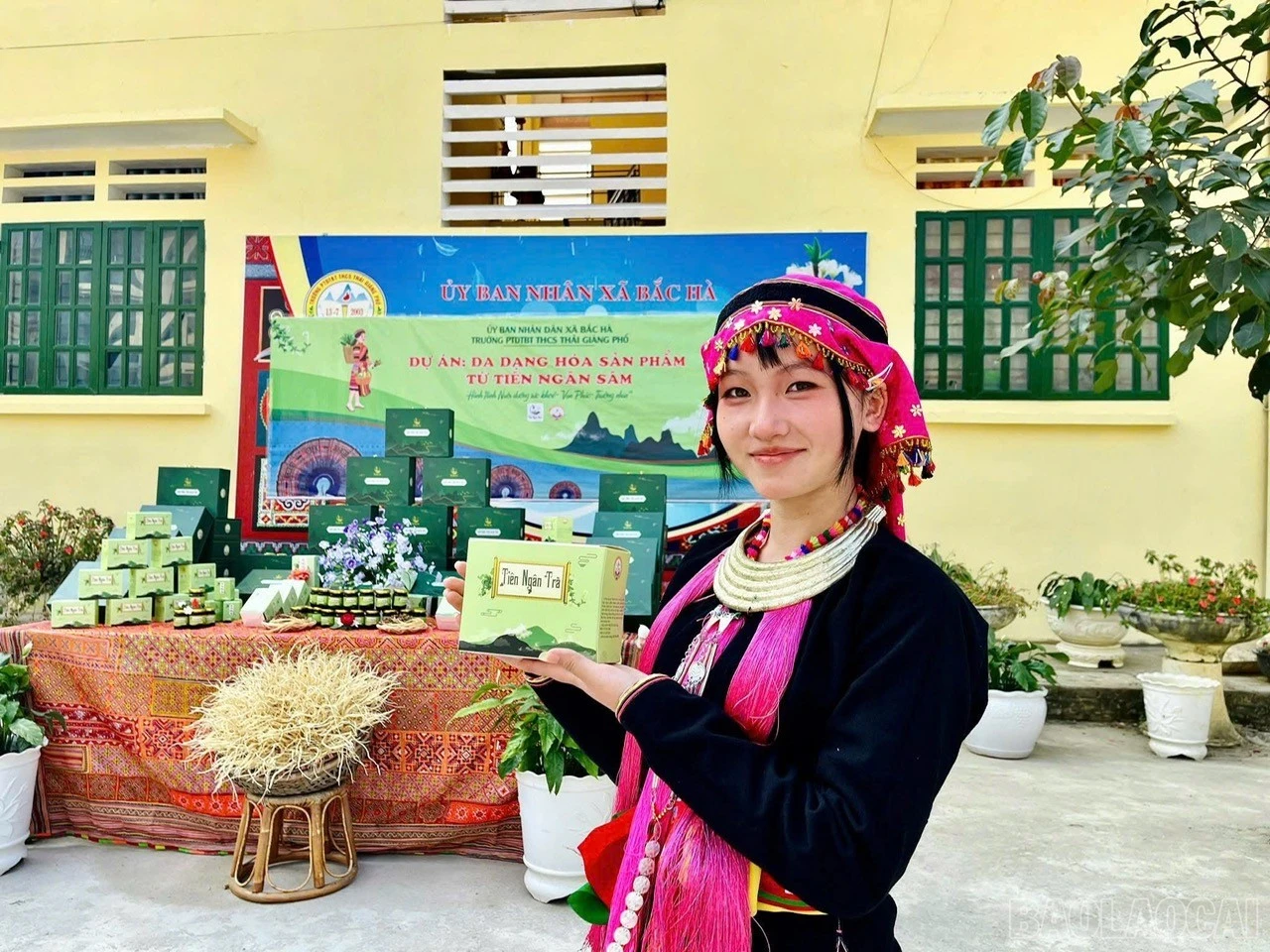 baolaocai-br_z7786796971035-4c961a3e7661b5f3266777bce2f94f4f.jpg
