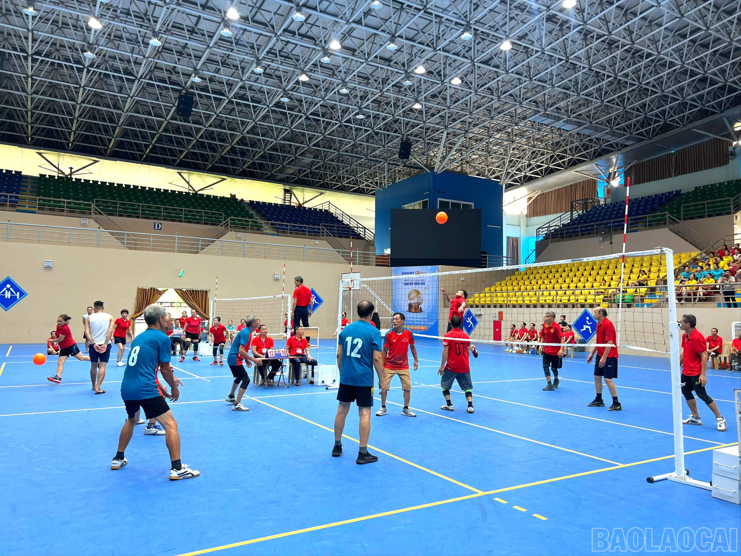 baolaocai-br_z6799419985877-e9df8a9bf2606ecb461ed1358ee38e2a-5153.jpg