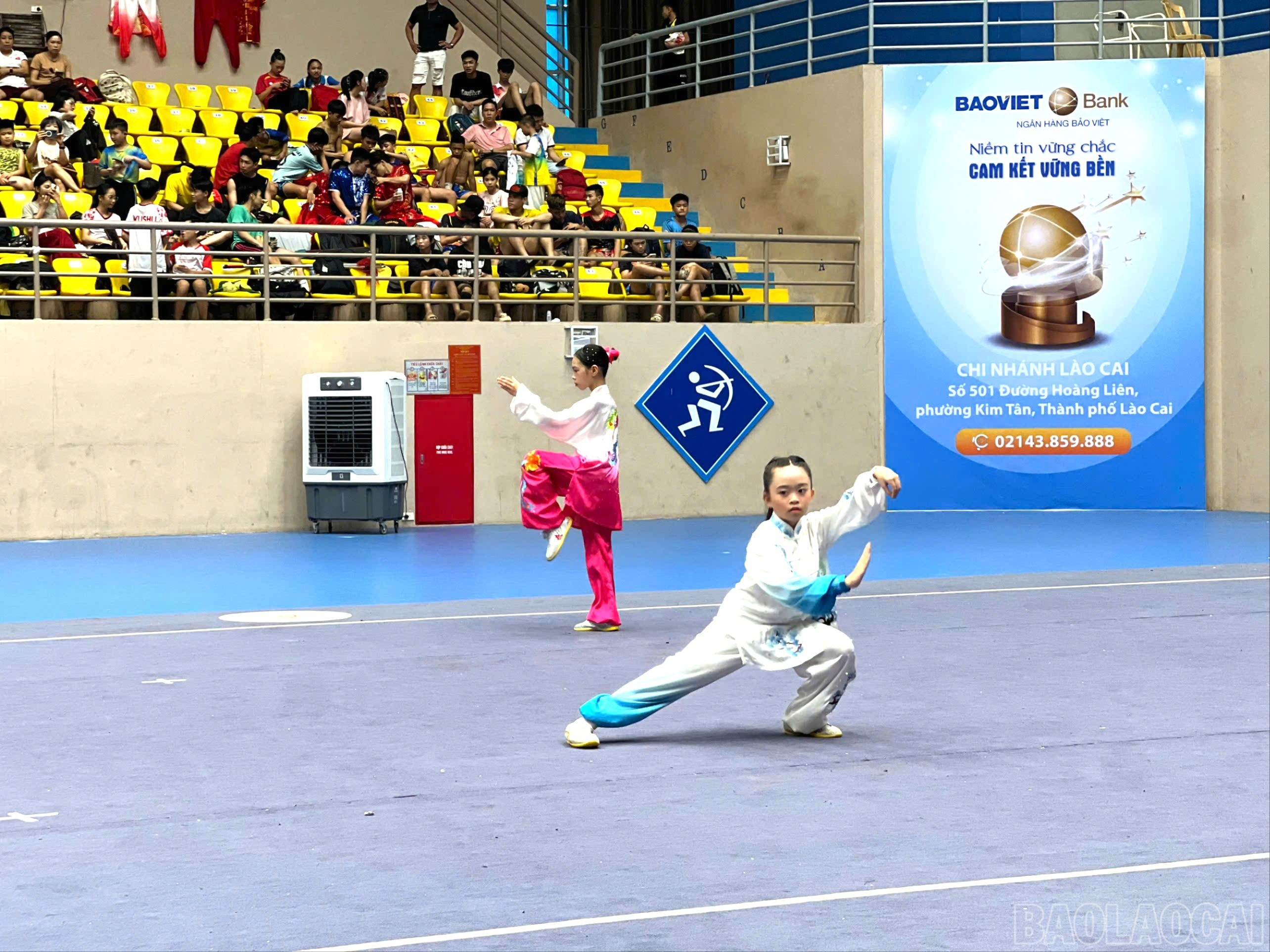 baolaocai-br_z6725519891387-59a11145407e70db841d50150db33d68-6984.jpg