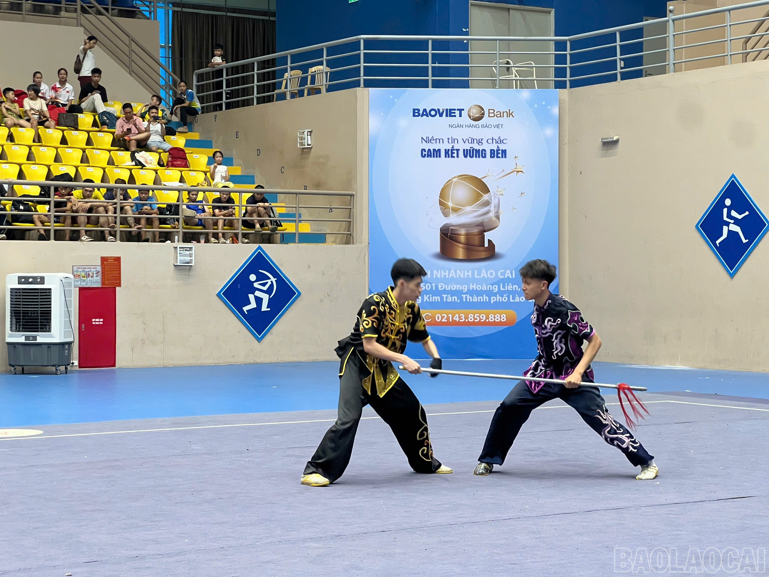 baolaocai-br_z6725518305353-9a5d298d49584bfaa8b972bd0c9ea21d.jpg