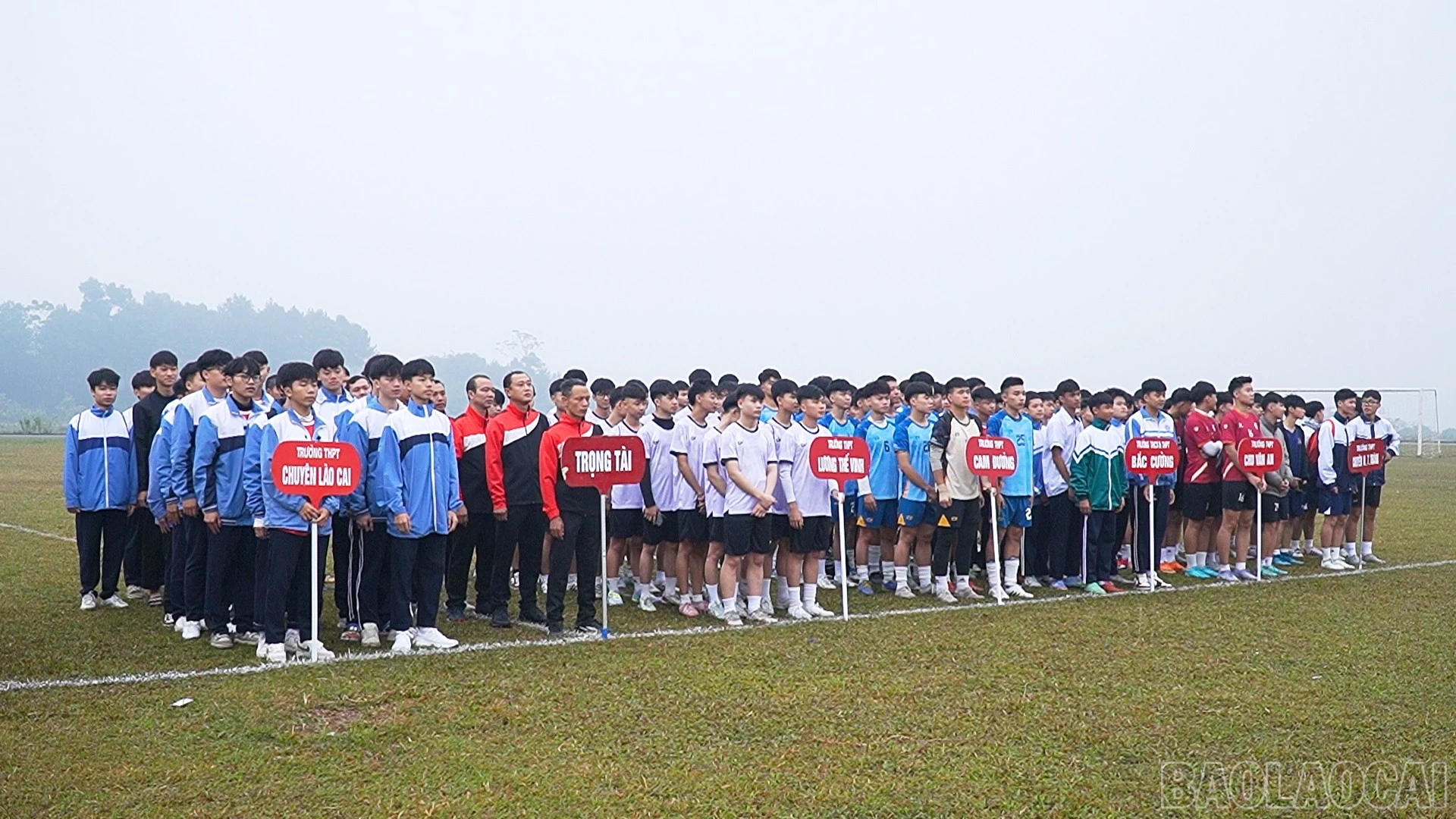 Giải đấu thu hút 236 vận động viên tham gia.