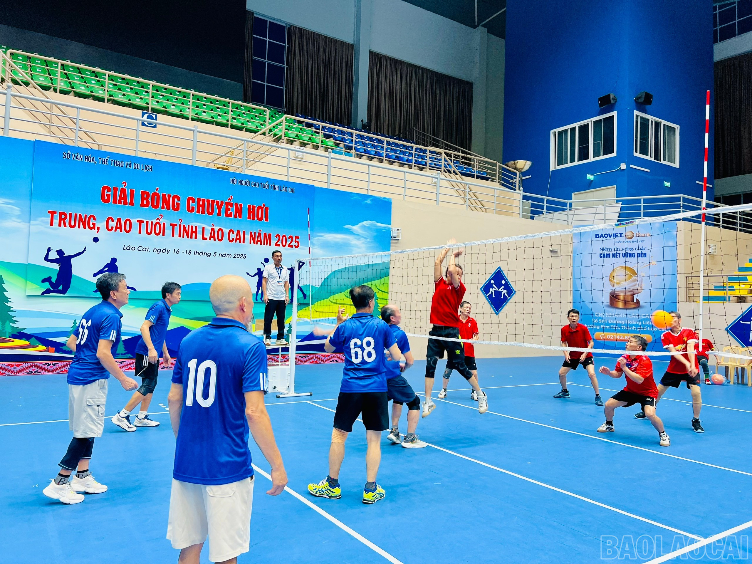 baolaocai-br_z6608874378028-732baf84714ffd51df92a7eec36dc705.jpg