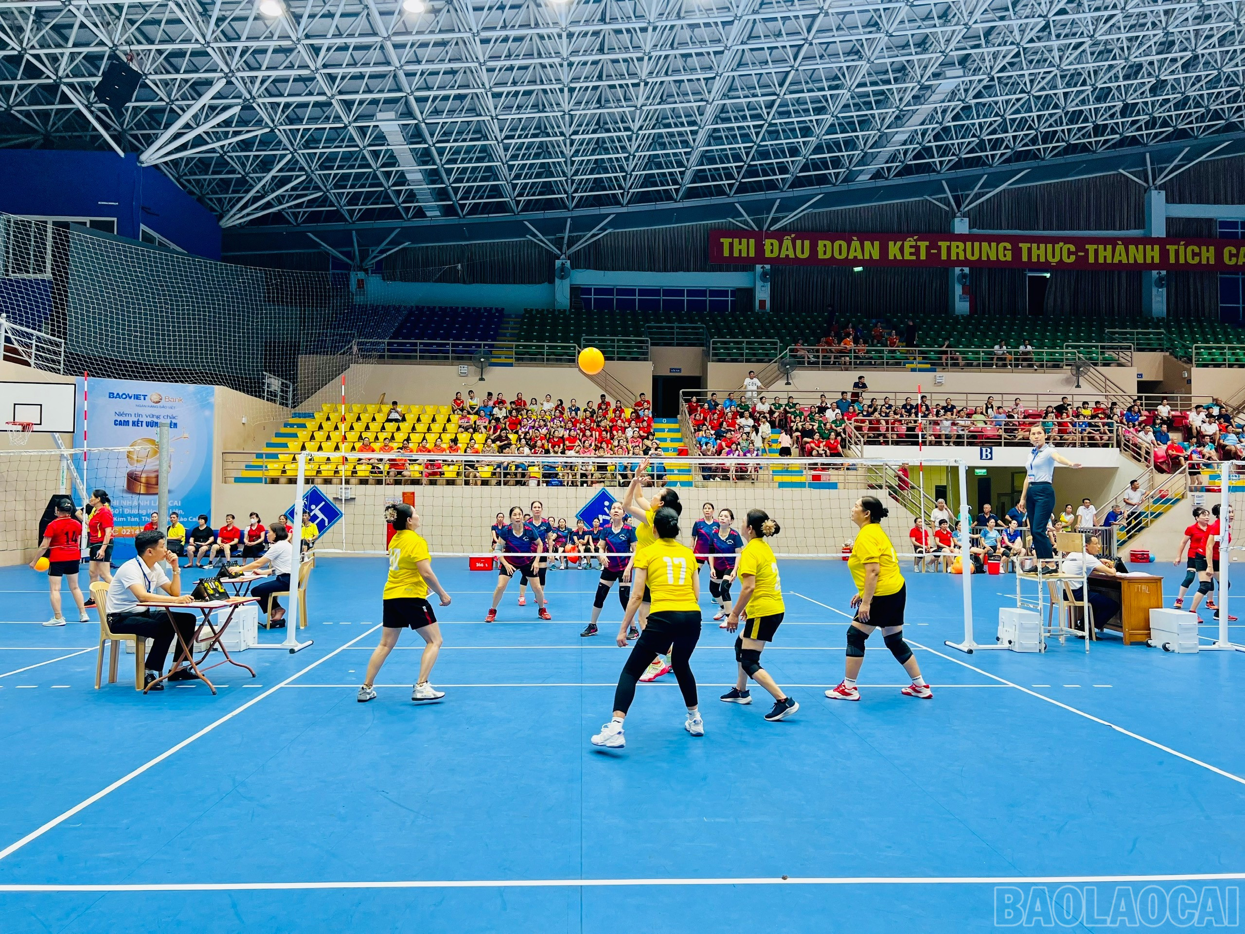 baolaocai-br_z6608874334988-8ad777c0e6a38e00f8190413f38f2793.jpg