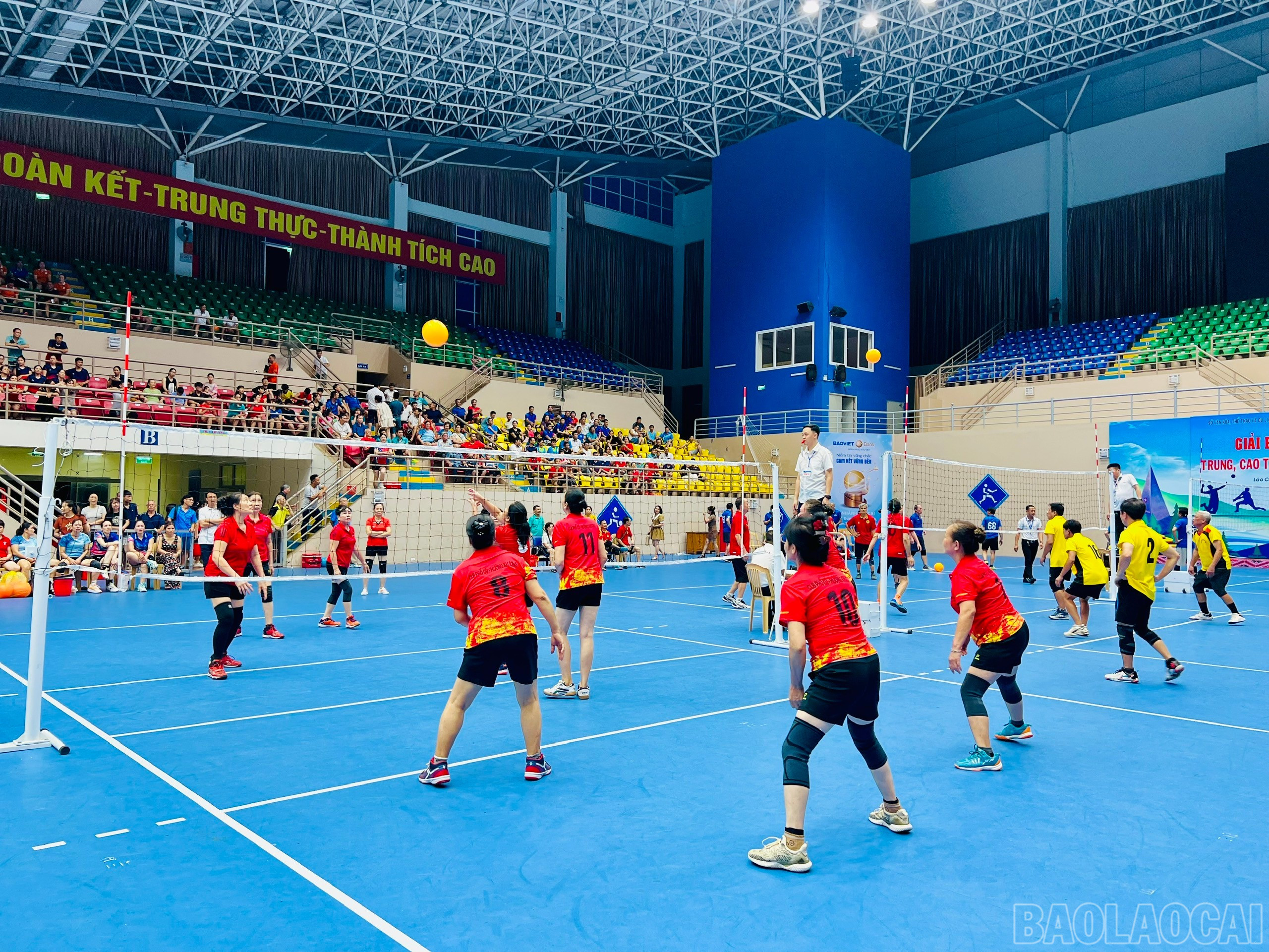 baolaocai-br_z6608874418656-5eabb1699fc0b24ae0948ffeee64ccfe.jpg
