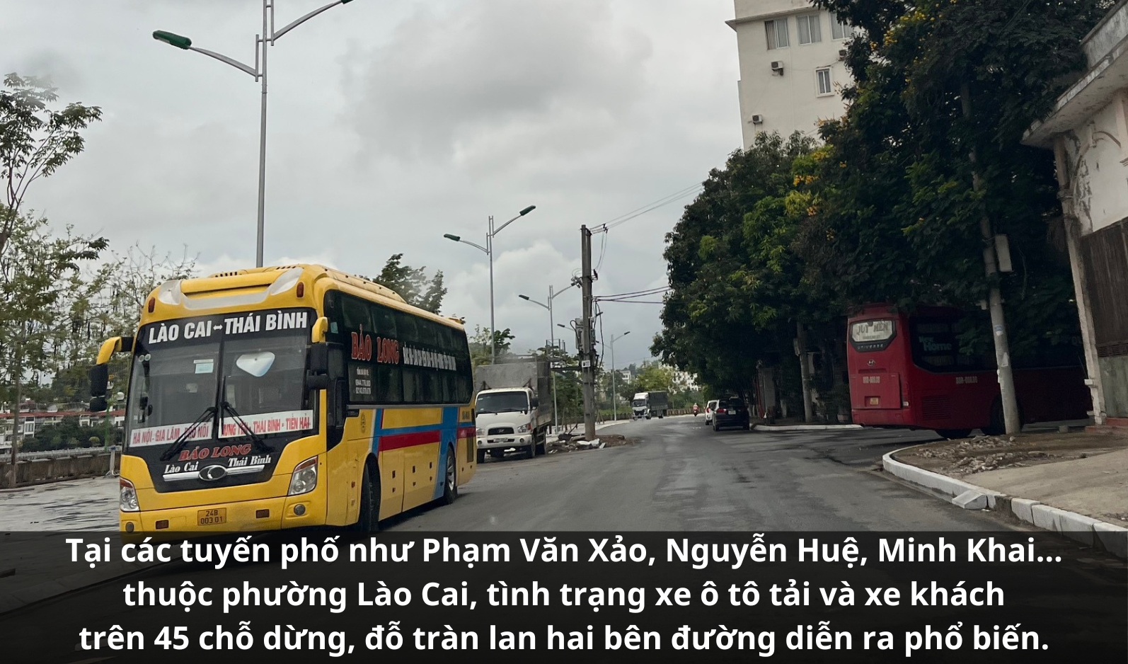 85.jpg