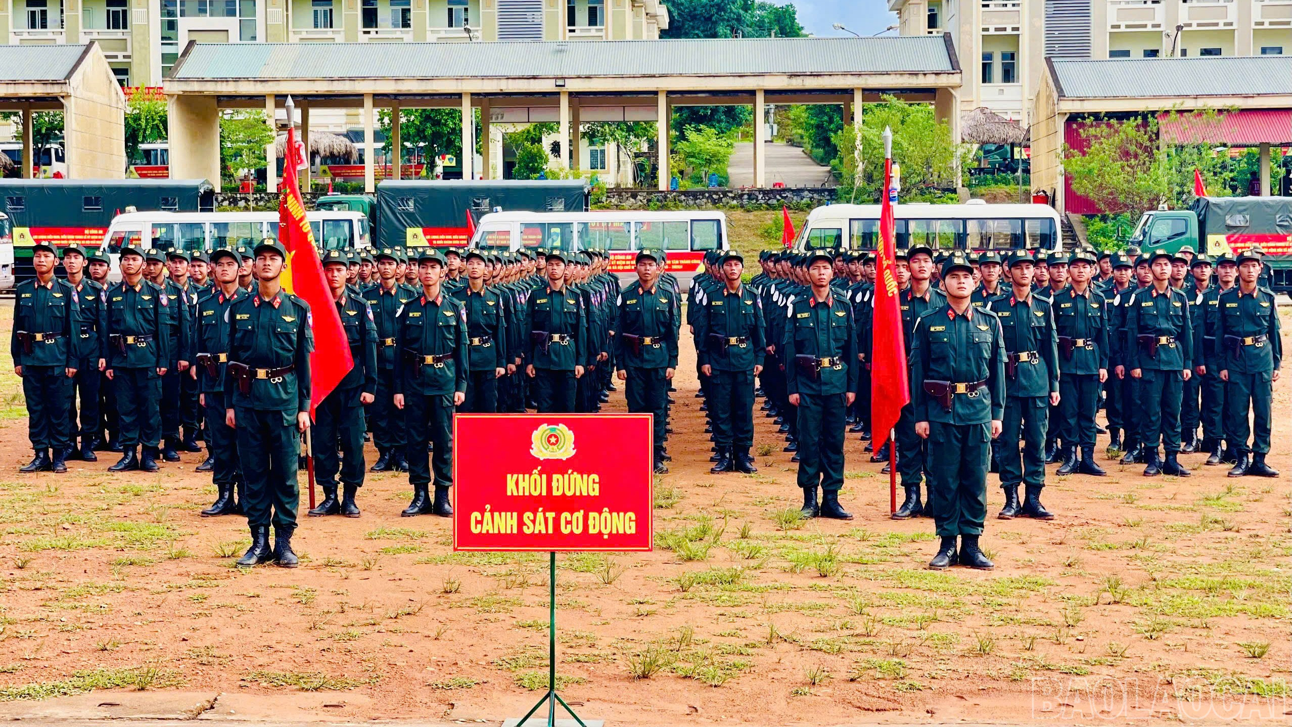 baolaocai-br_anh-555.jpg