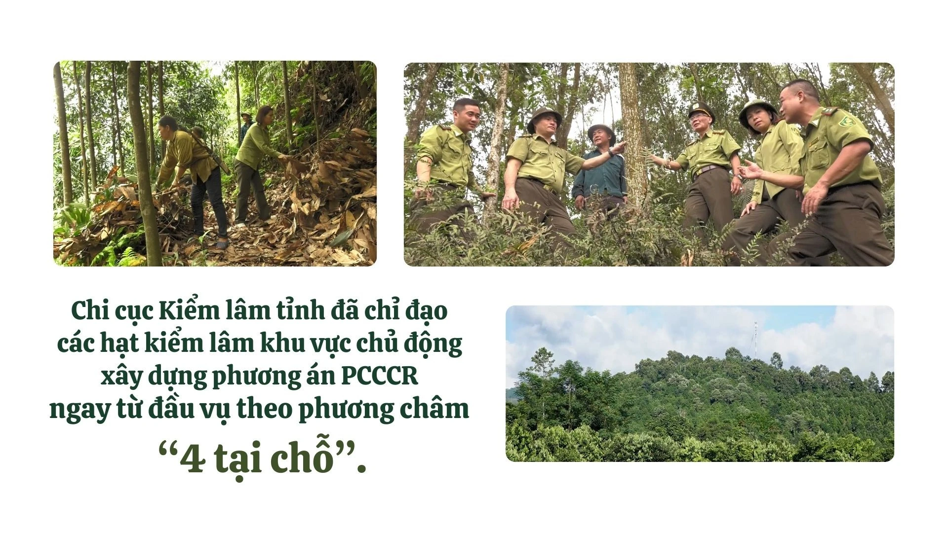 anh-kiem-lam-3333.jpg