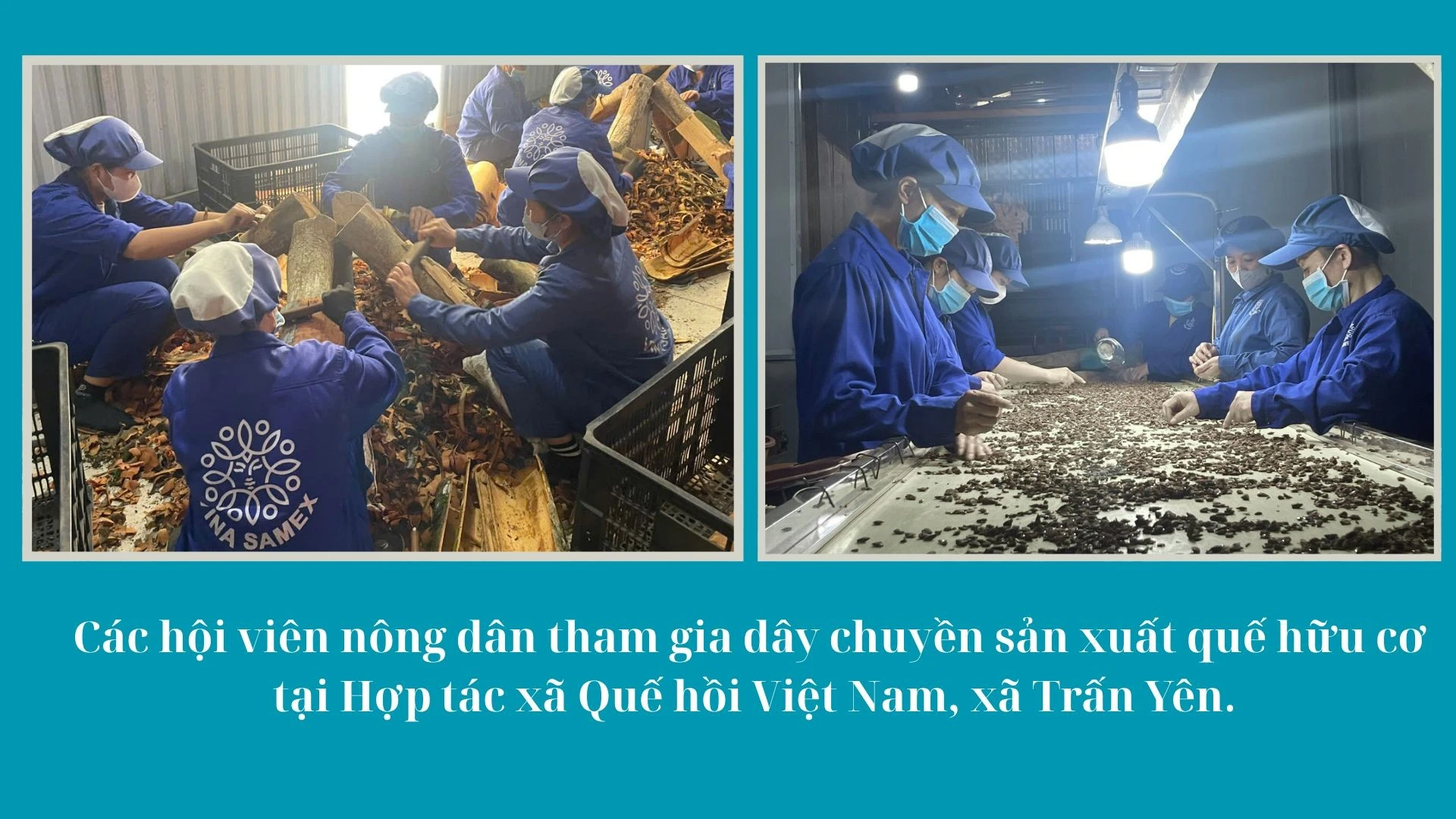 anh-2101010.jpg