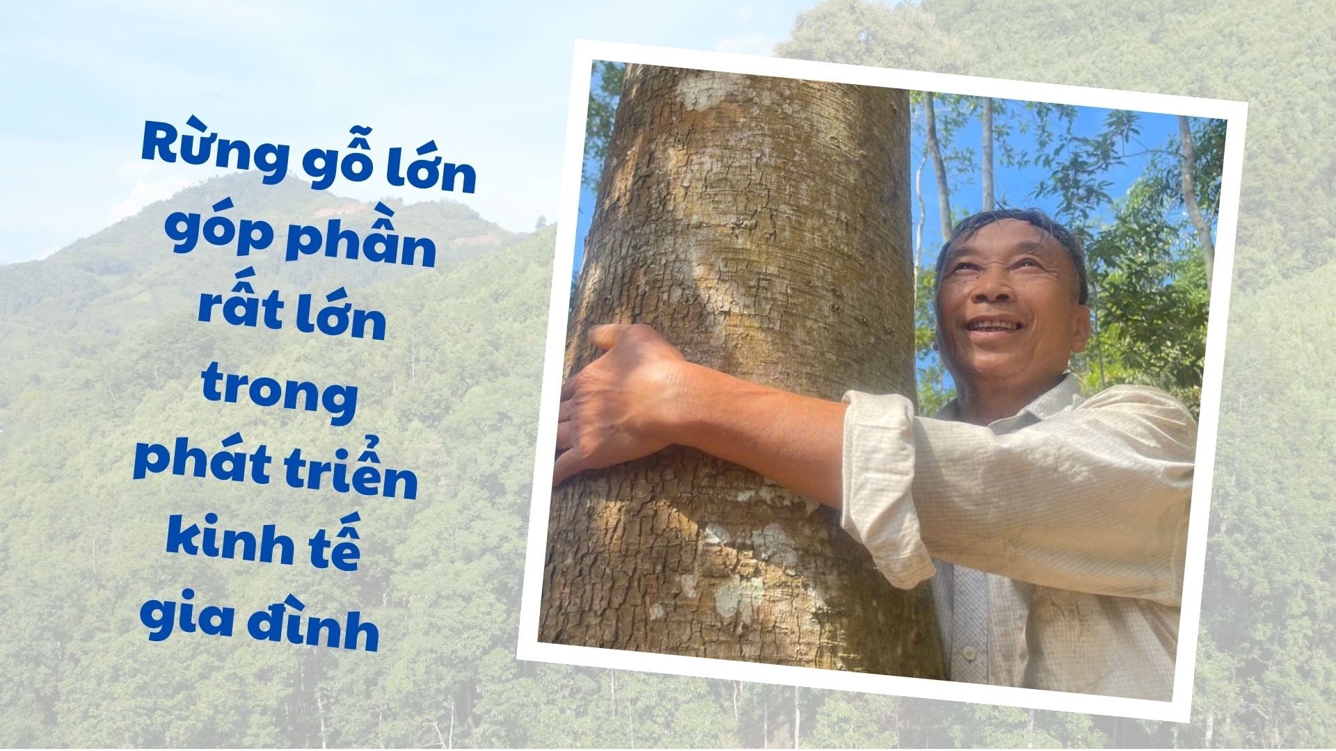 Ông Vũ Ngọc Dương phấn khởi khi diện tích rừng gỗ lớn mang lại thu nhập chủ yếu cho gia đình anh-222333.jpg