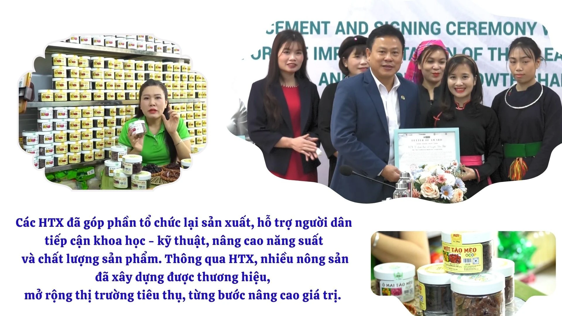 anh-htx-11.jpg