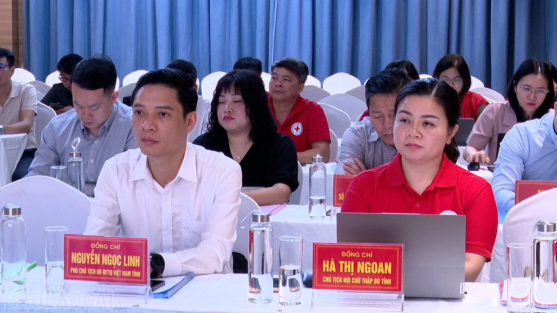 baolaocai-bl_anh-db-2.jpg