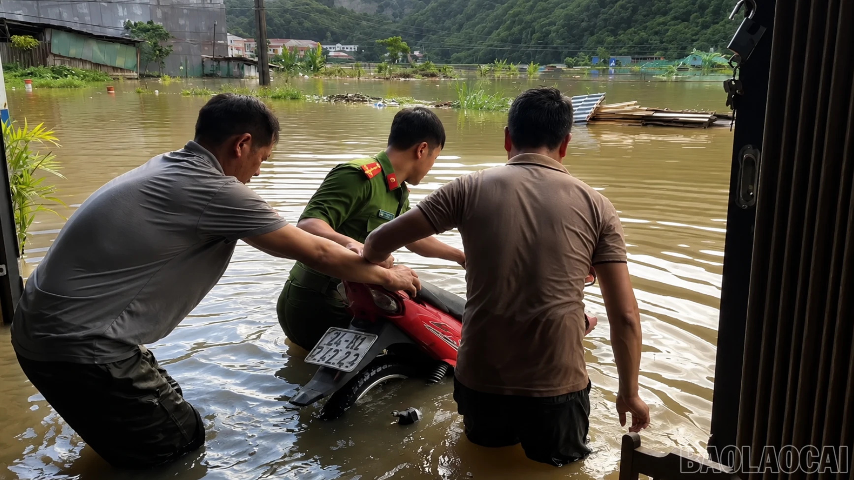 baolaocai-br_anh-1-2682.png