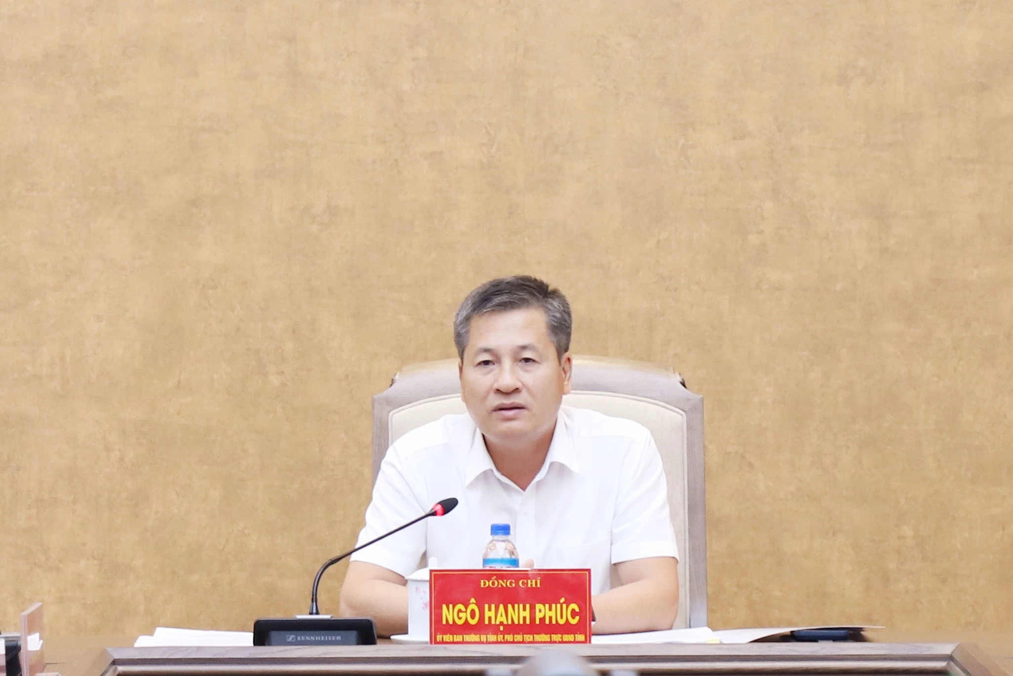 Đồng chí Phó Chủ tịch Thường trực UBND tỉnh Ngô Hạnh Phúc phát biểu chỉ đạo tại cuộc họp