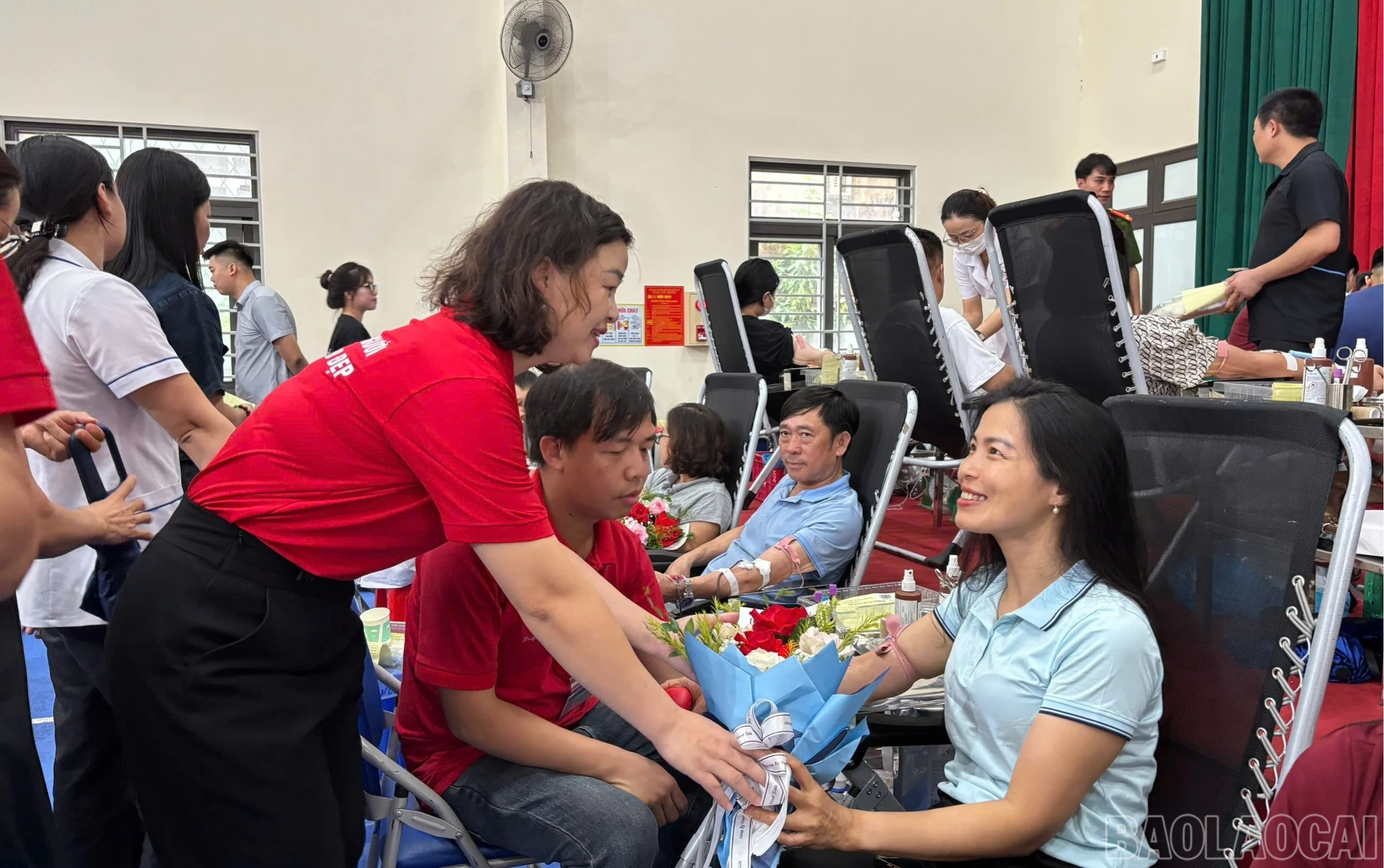 baolaocai-br_tinhnguyen-2217.jpg