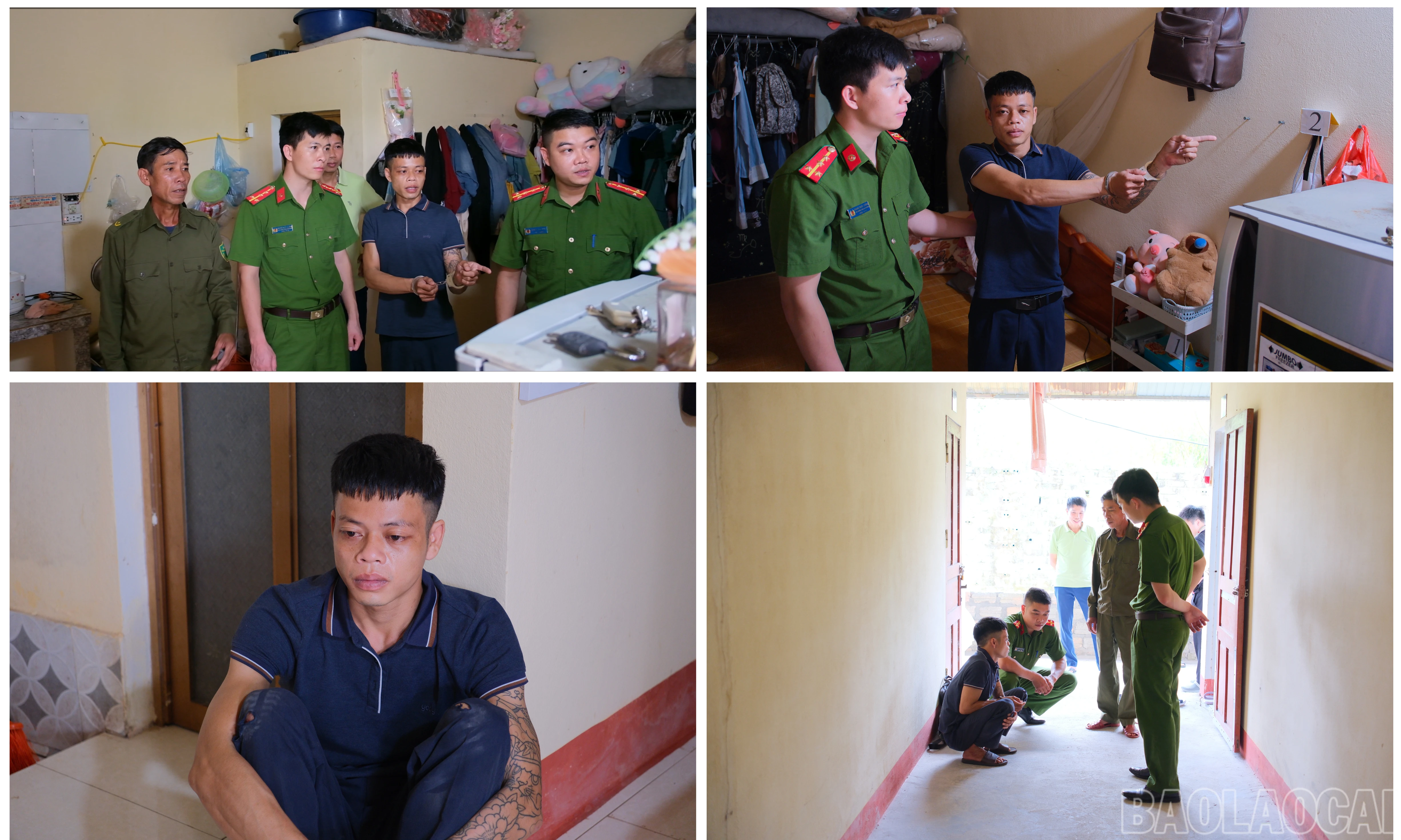 baolaocai-br_anh3.png