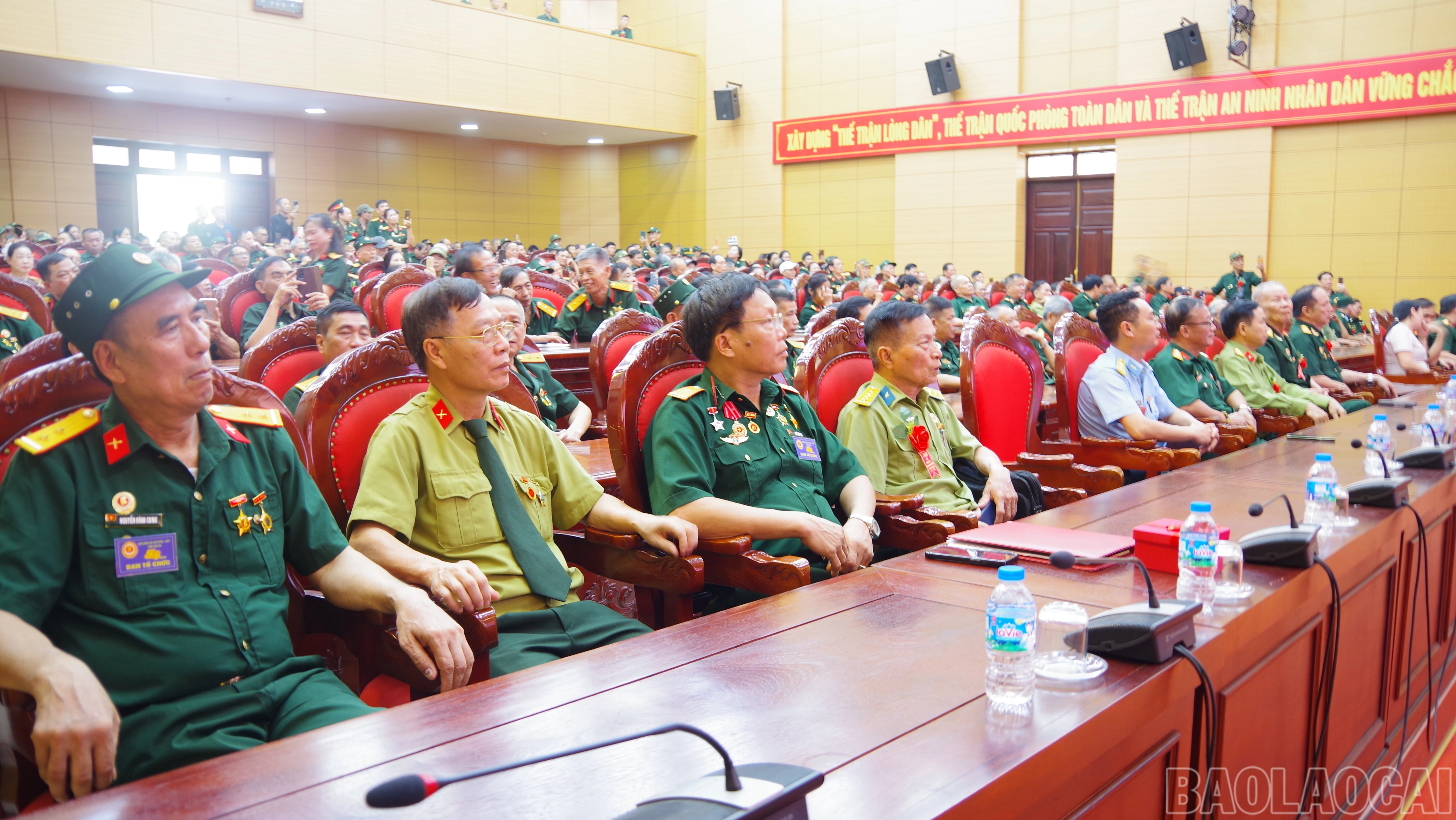 baolaocai-br_a2-3216.jpg