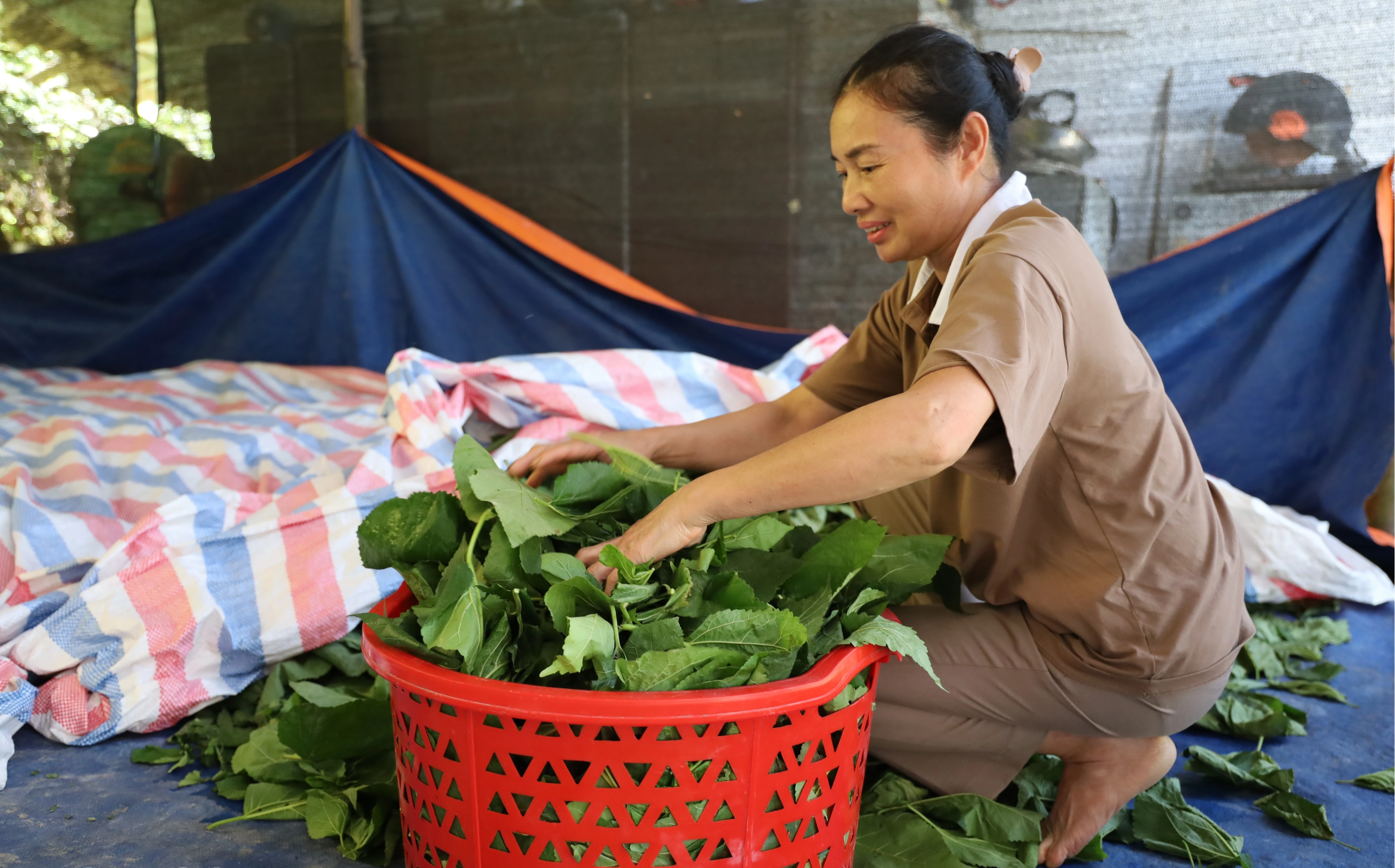 baluy-8665.jpg