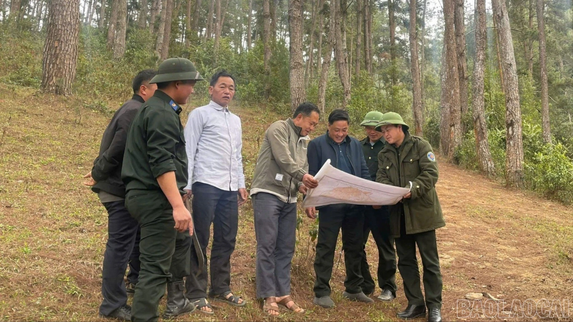 baolaocai-tr-111.jpg