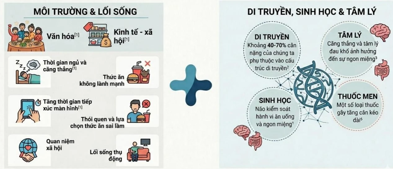 Các nguyên nhân gây ra bệnh béo phì.