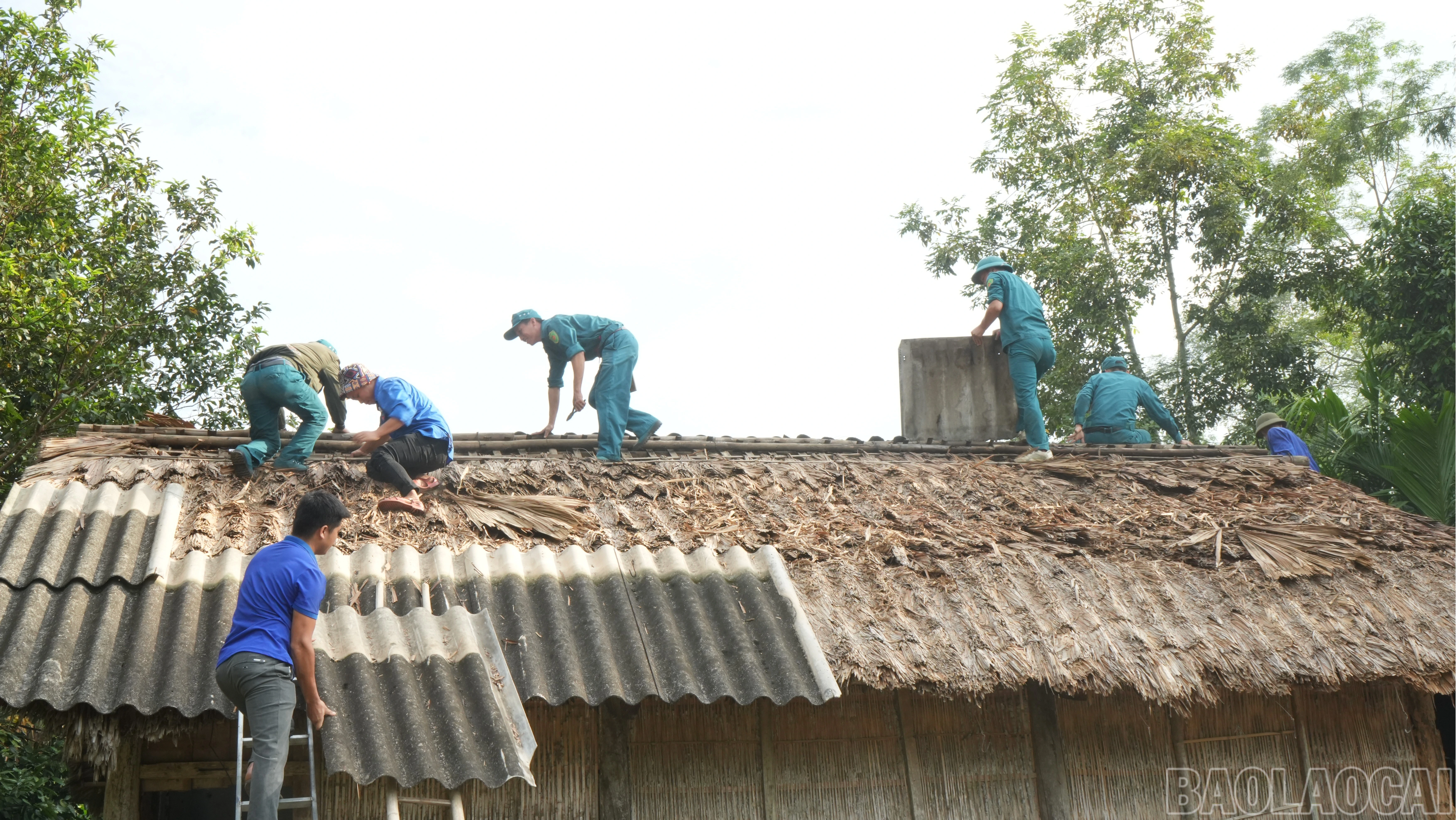 baolaocai-br_thaonha-2-1148.jpg