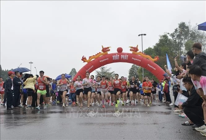 Các vận động viên tranh tài.