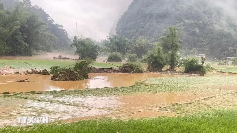 mua-lu.jpg