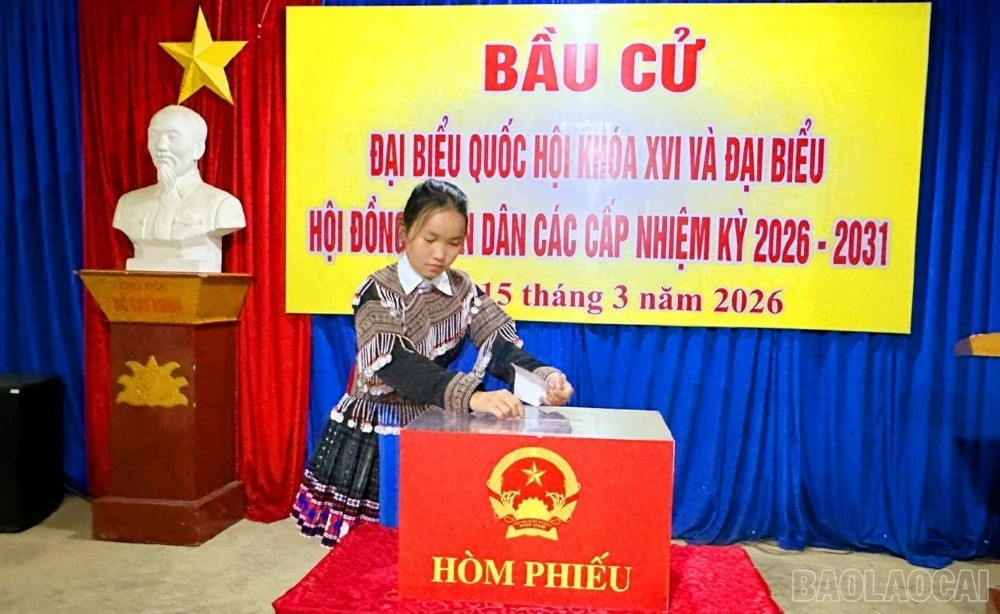 baolaocai-br_thanhnien1-9118.jpg